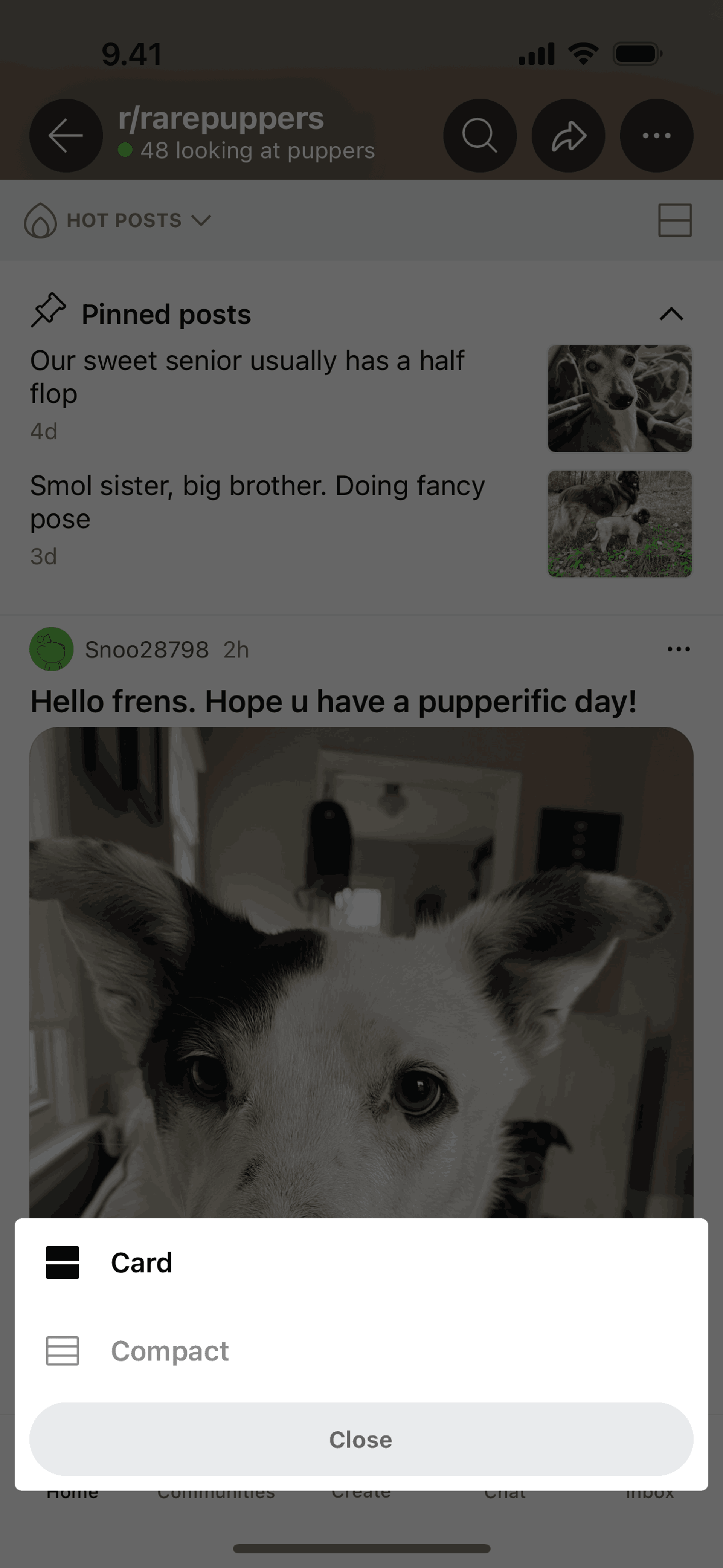 Reddit iOS Social Networking interface screenshot 16