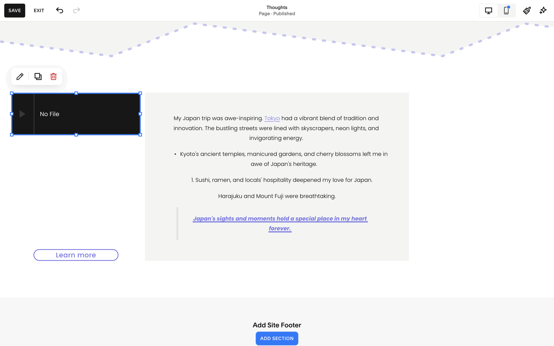 Squarespace Web Business interface screenshot 22