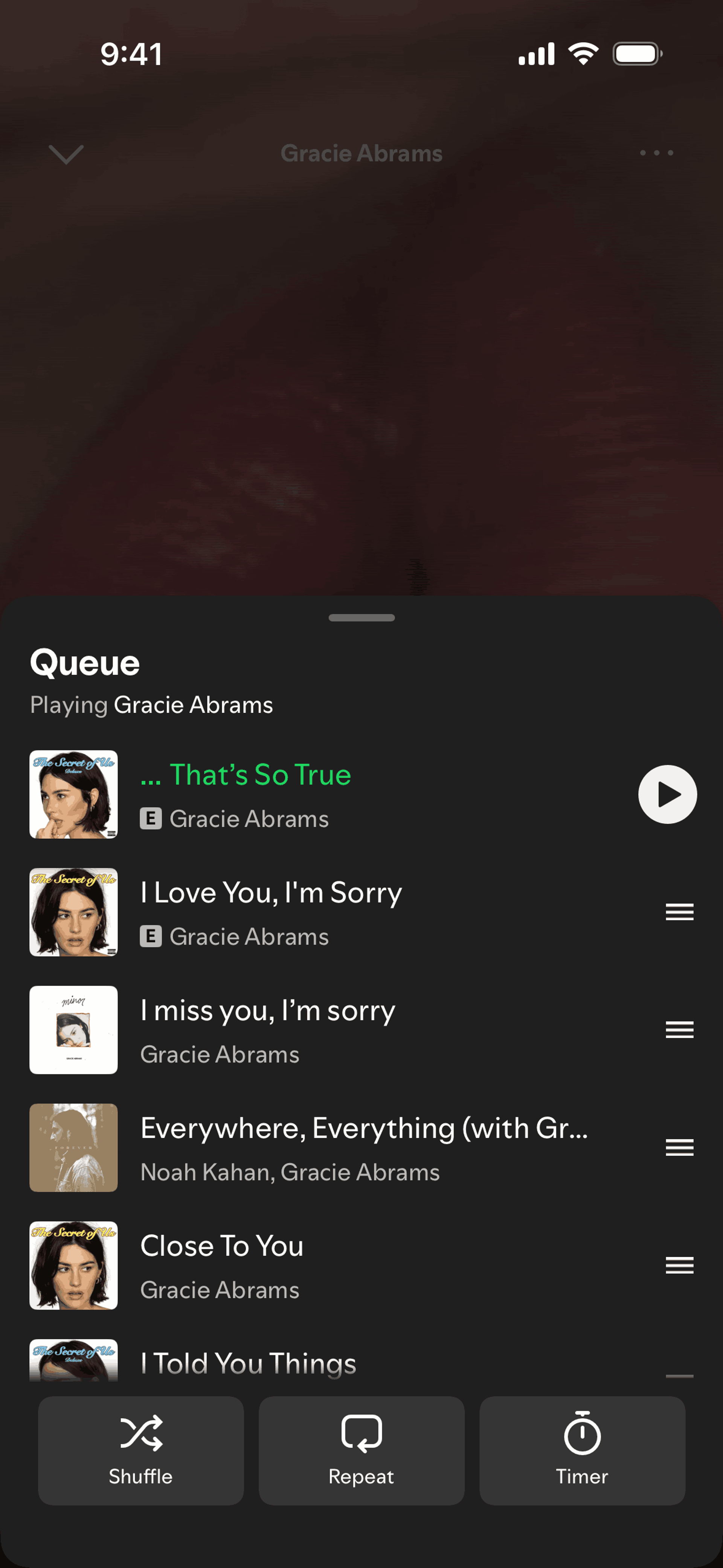 Spotify iOS Music & Audio interface screenshot 14