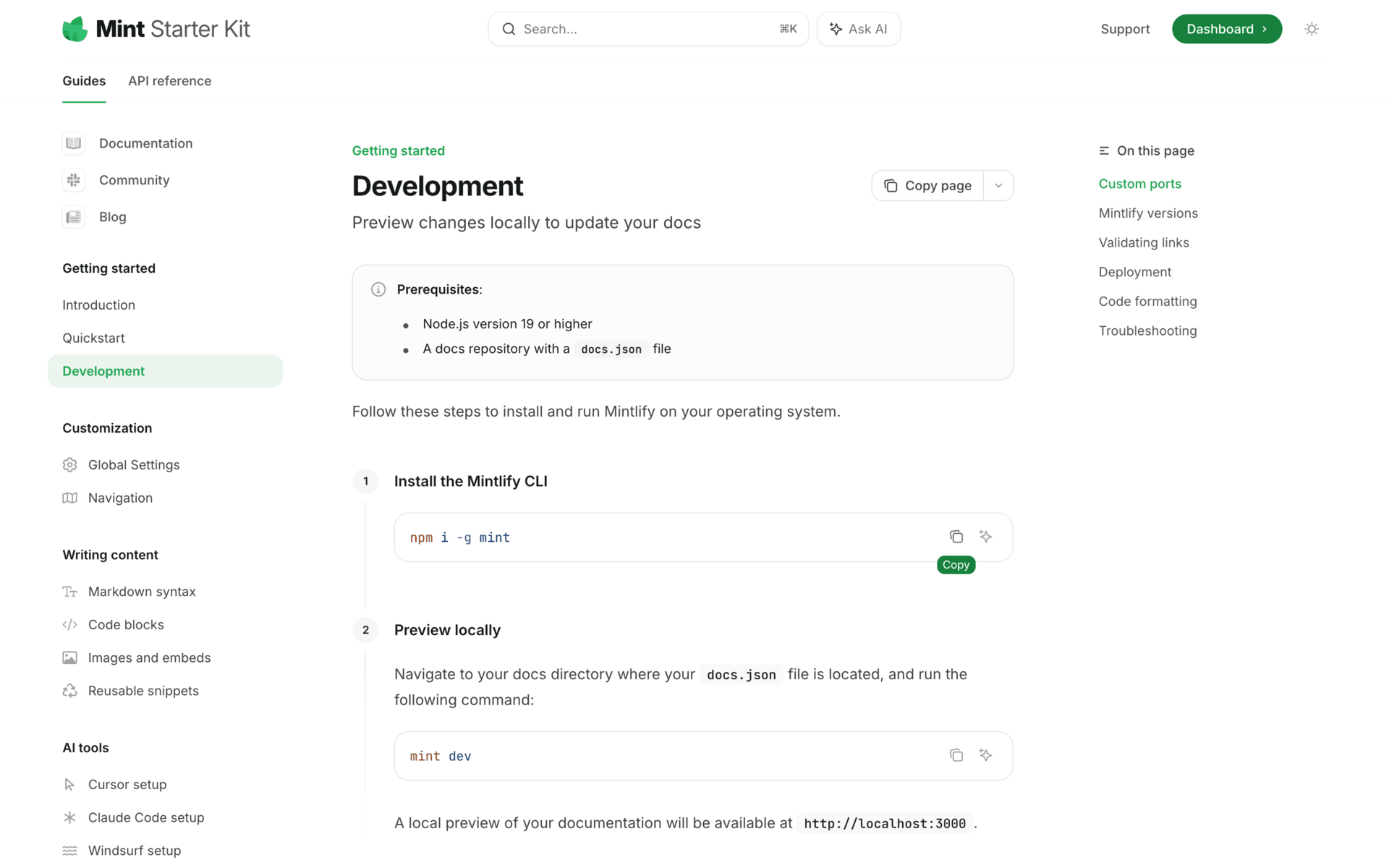 Mintlify Web Developer Tools interface screenshot 20