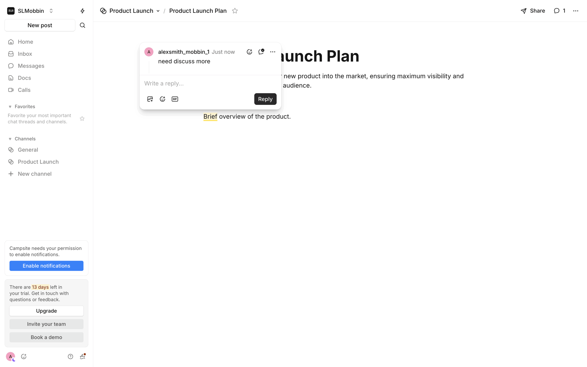 Campsite Web Productivity interface screenshot 8