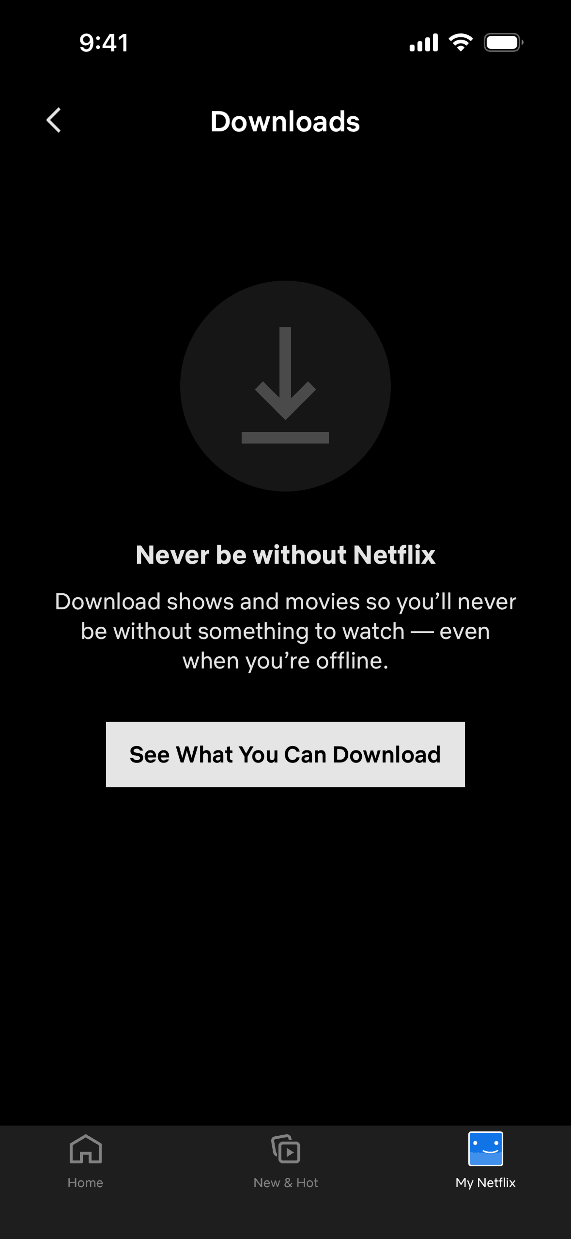 Netflix iOS Entertainment interface screenshot 23