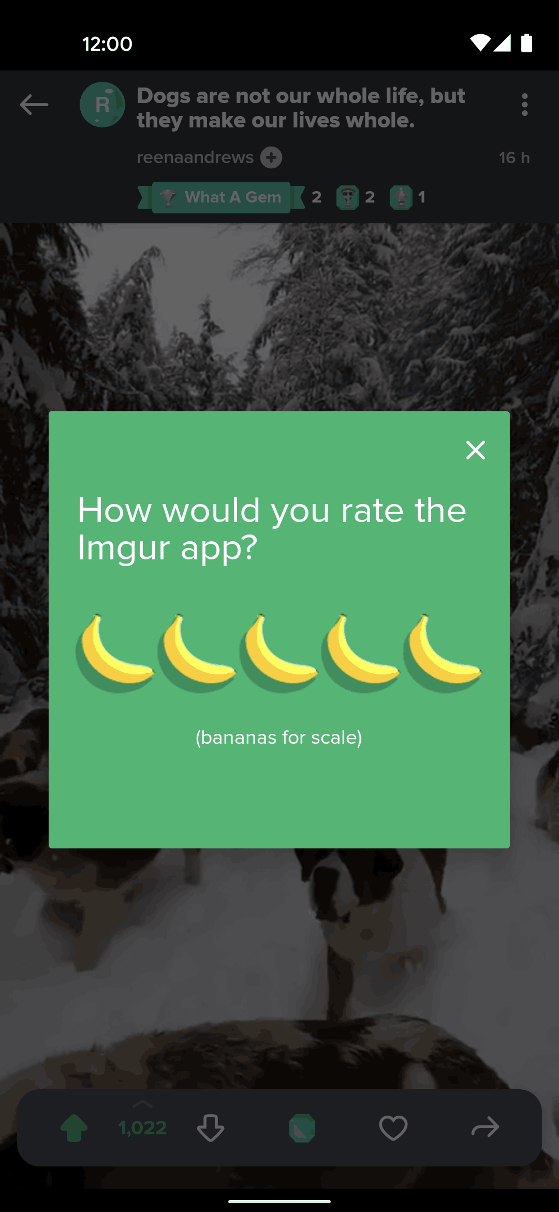 Imgur Android Photo & Video interface screenshot 10