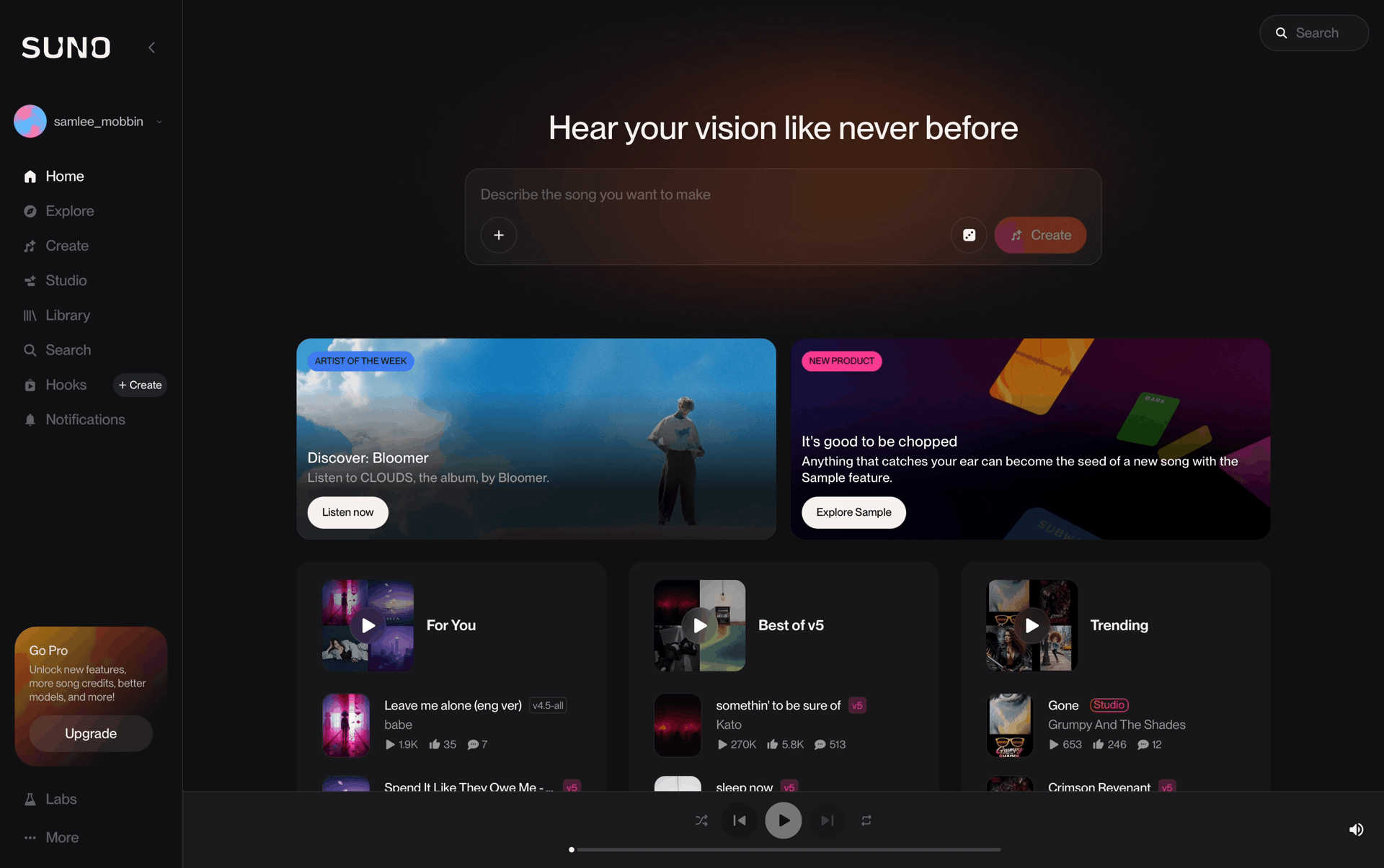 Suno Web AI interface screenshot 6
