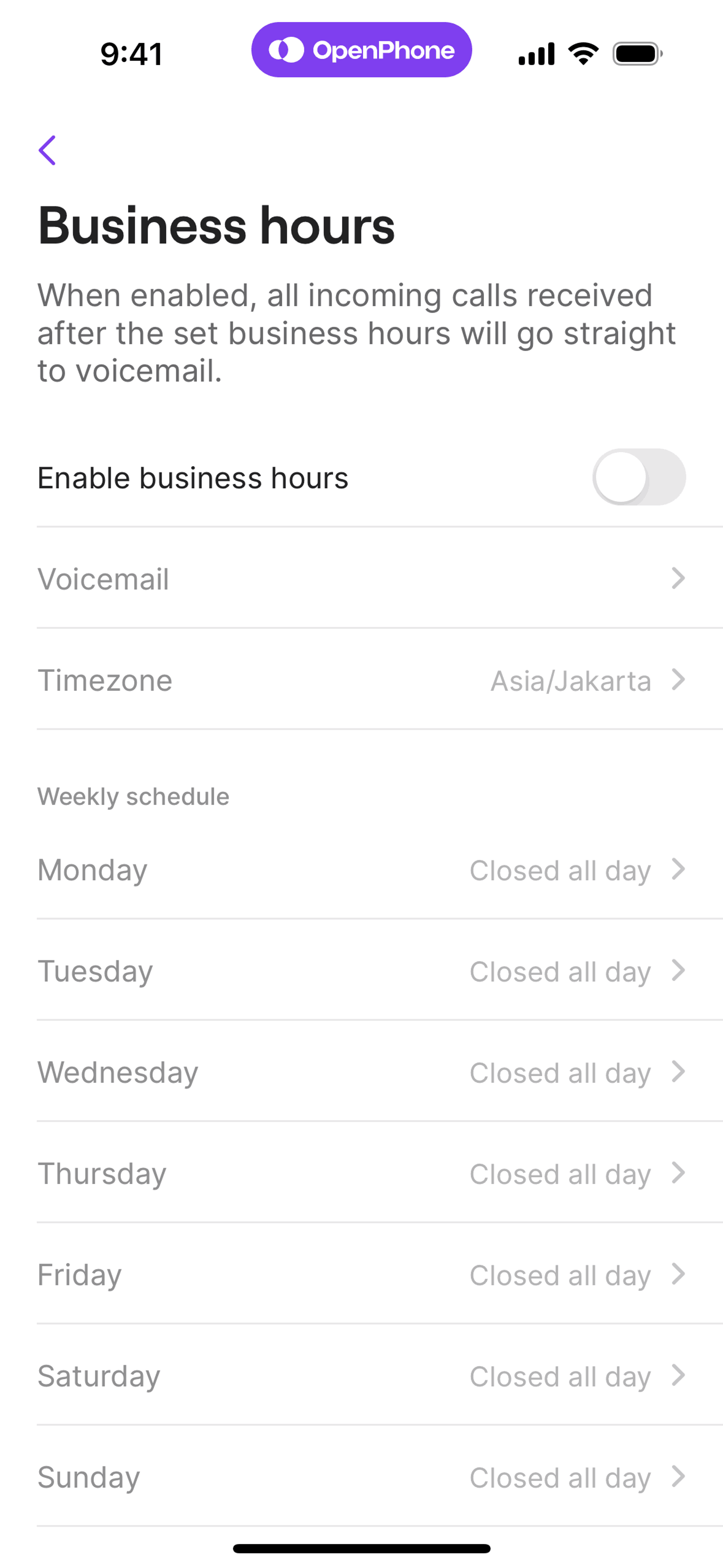OpenPhone iOS Business interface screenshot 16