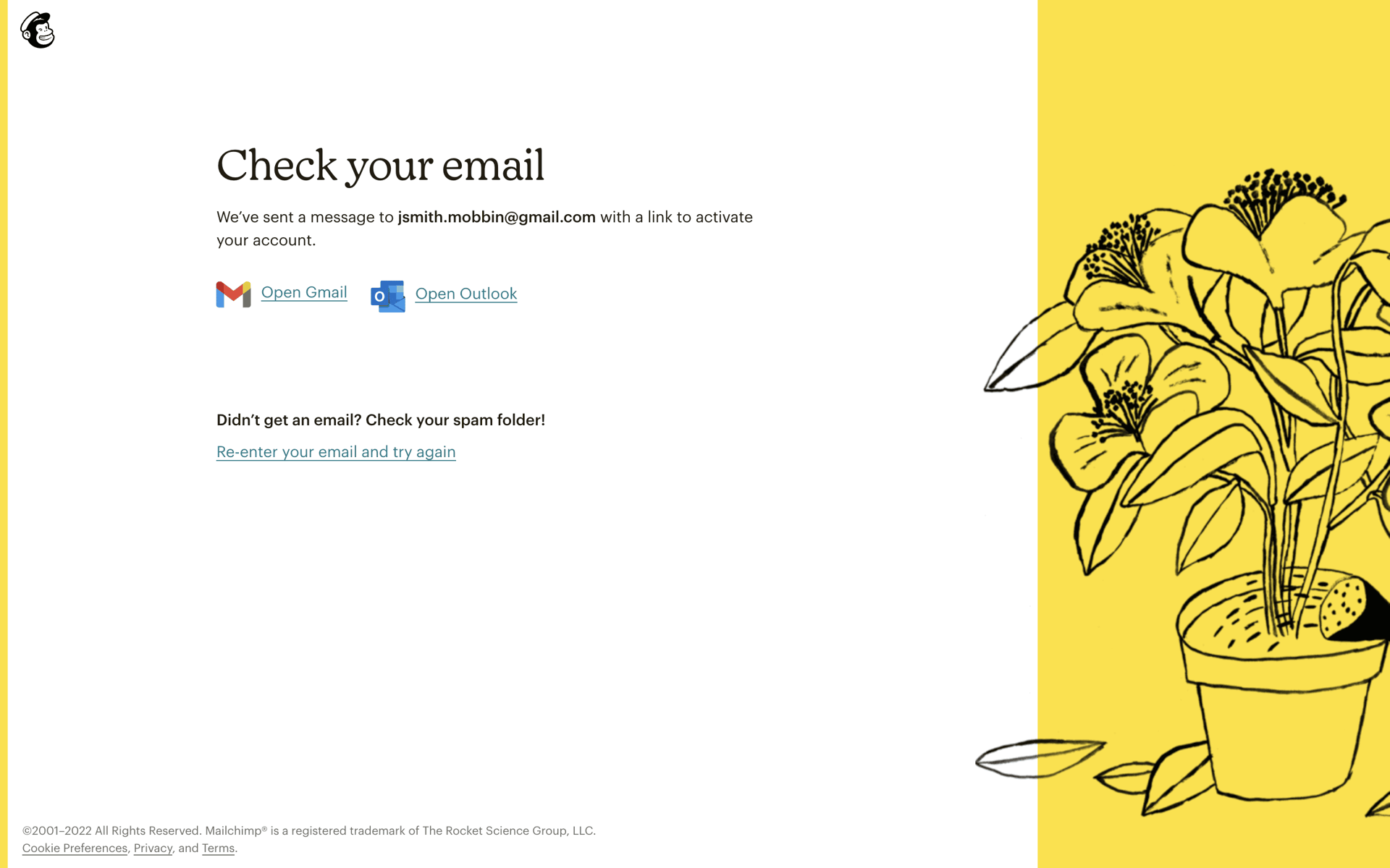 Mailchimp Web Business interface screenshot 8