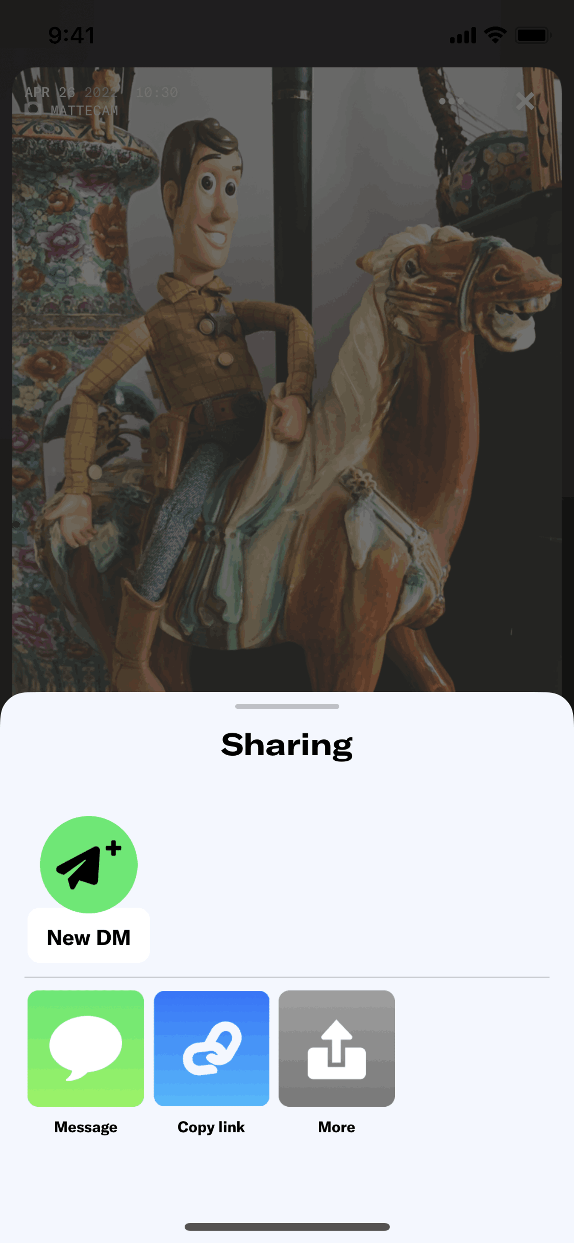 Dispo iOS Photo & Video interface screenshot 6