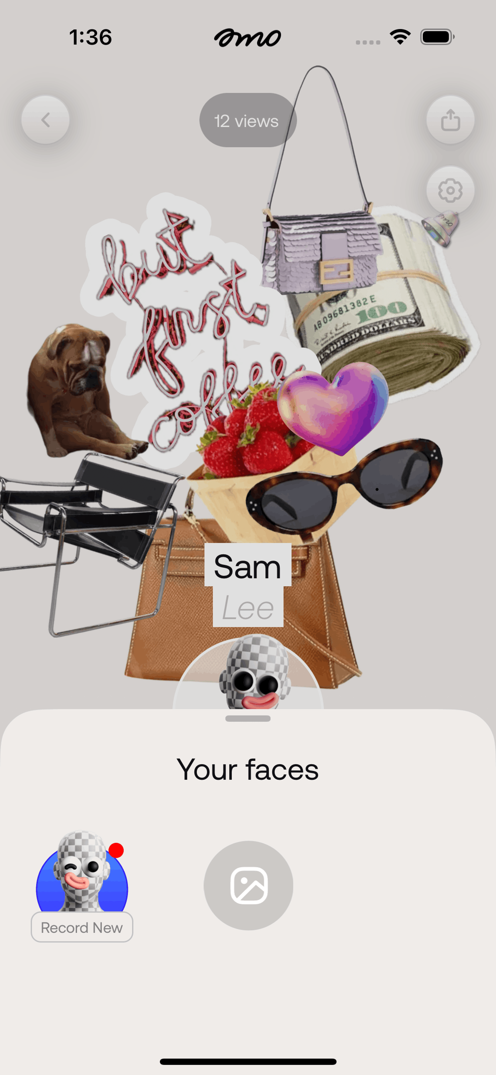 ID iOS Social Networking interface screenshot 9