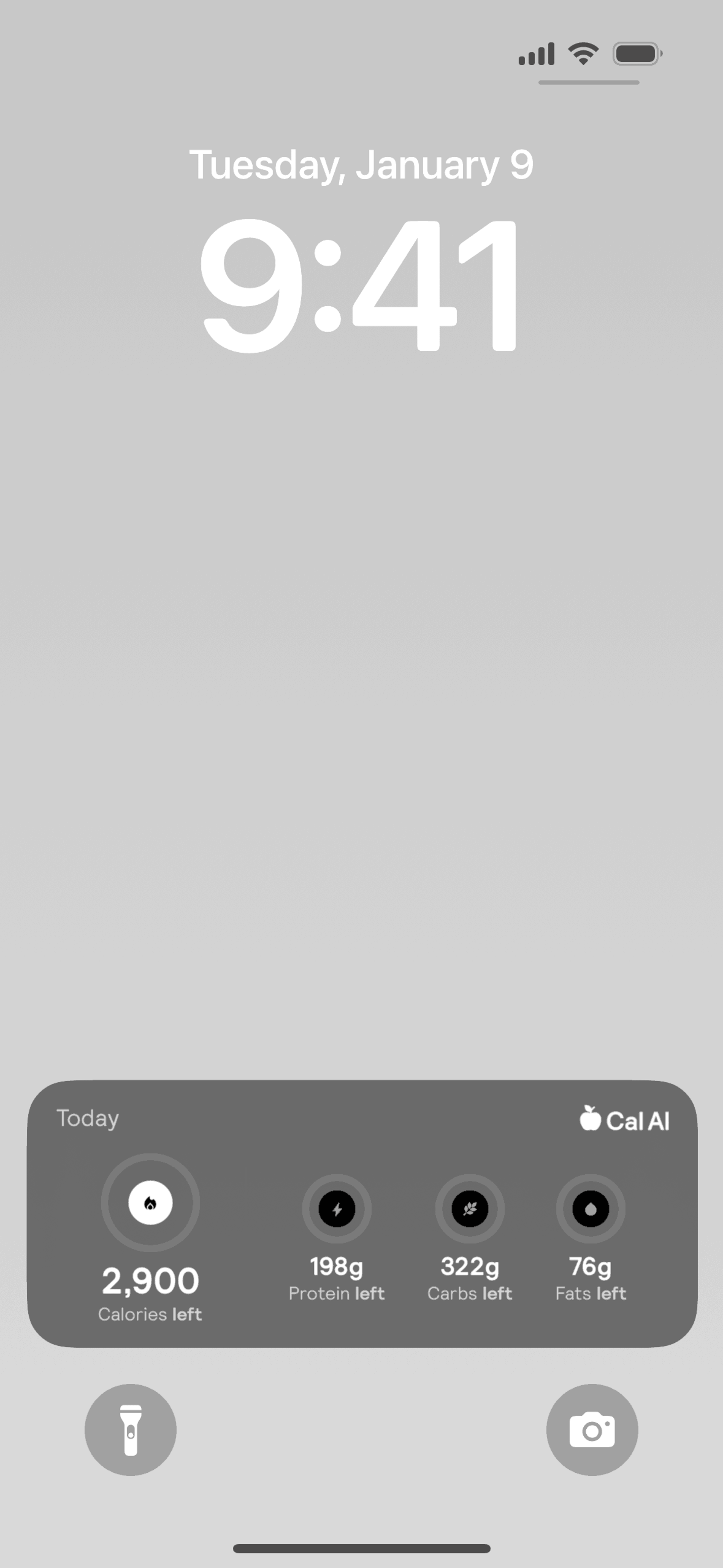 Cal AI iOS AI interface screenshot 2