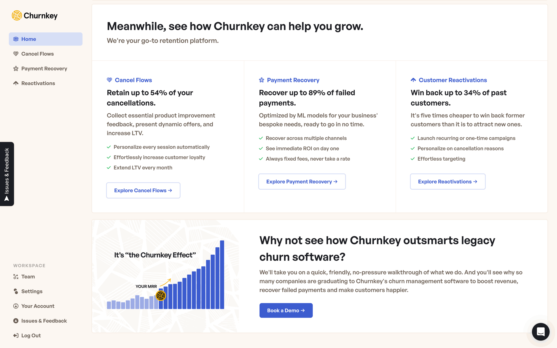 Churnkey Web Business interface screenshot 8