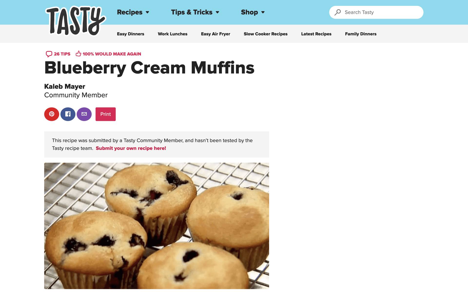 Tasty Web Food & Drink interface screenshot 11