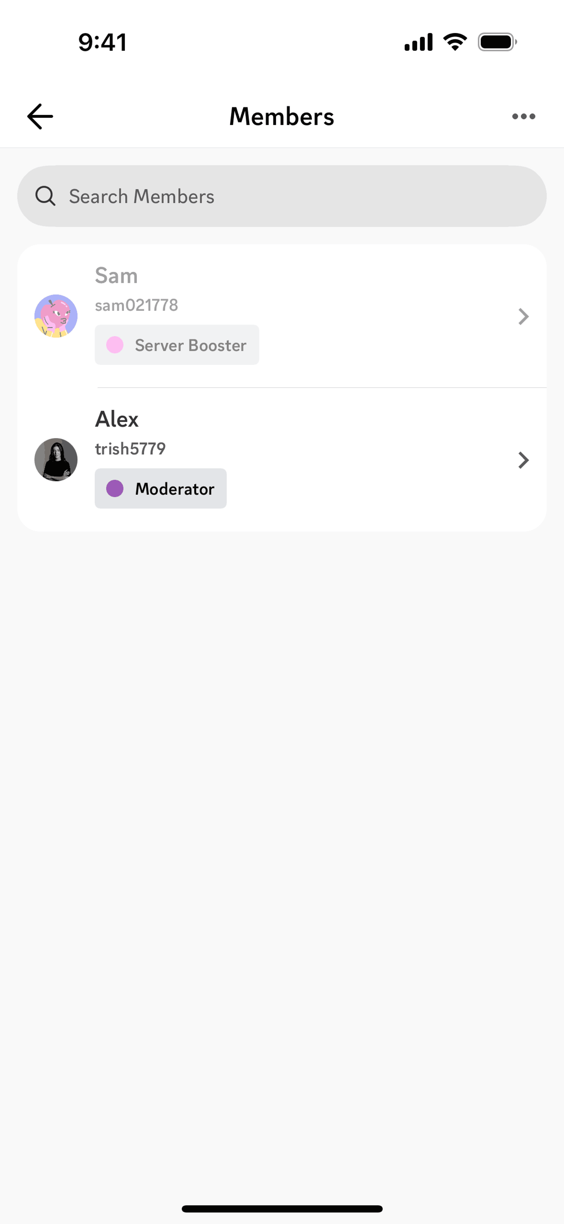 Discord iOS Social Networking interface screenshot 23