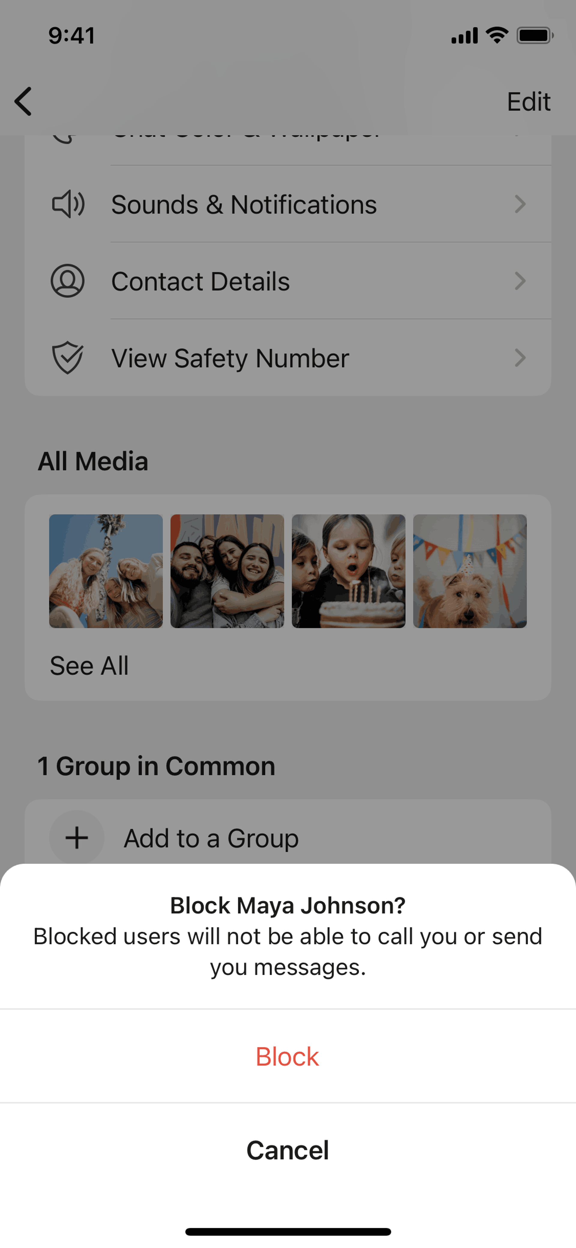Signal iOS Social Networking interface screenshot 9