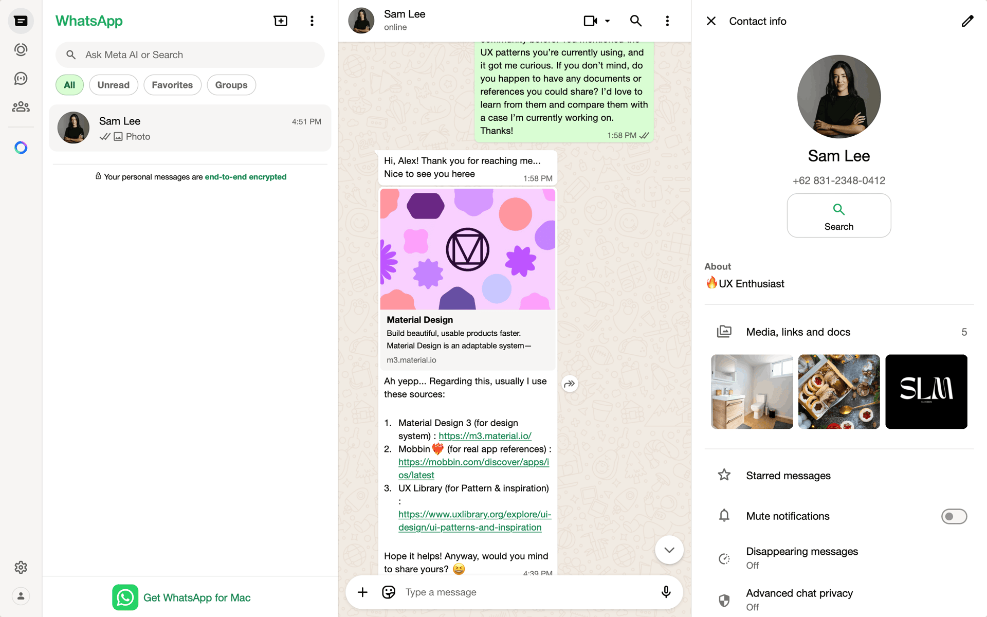 WhatsApp Web Social Networking interface screenshot 12