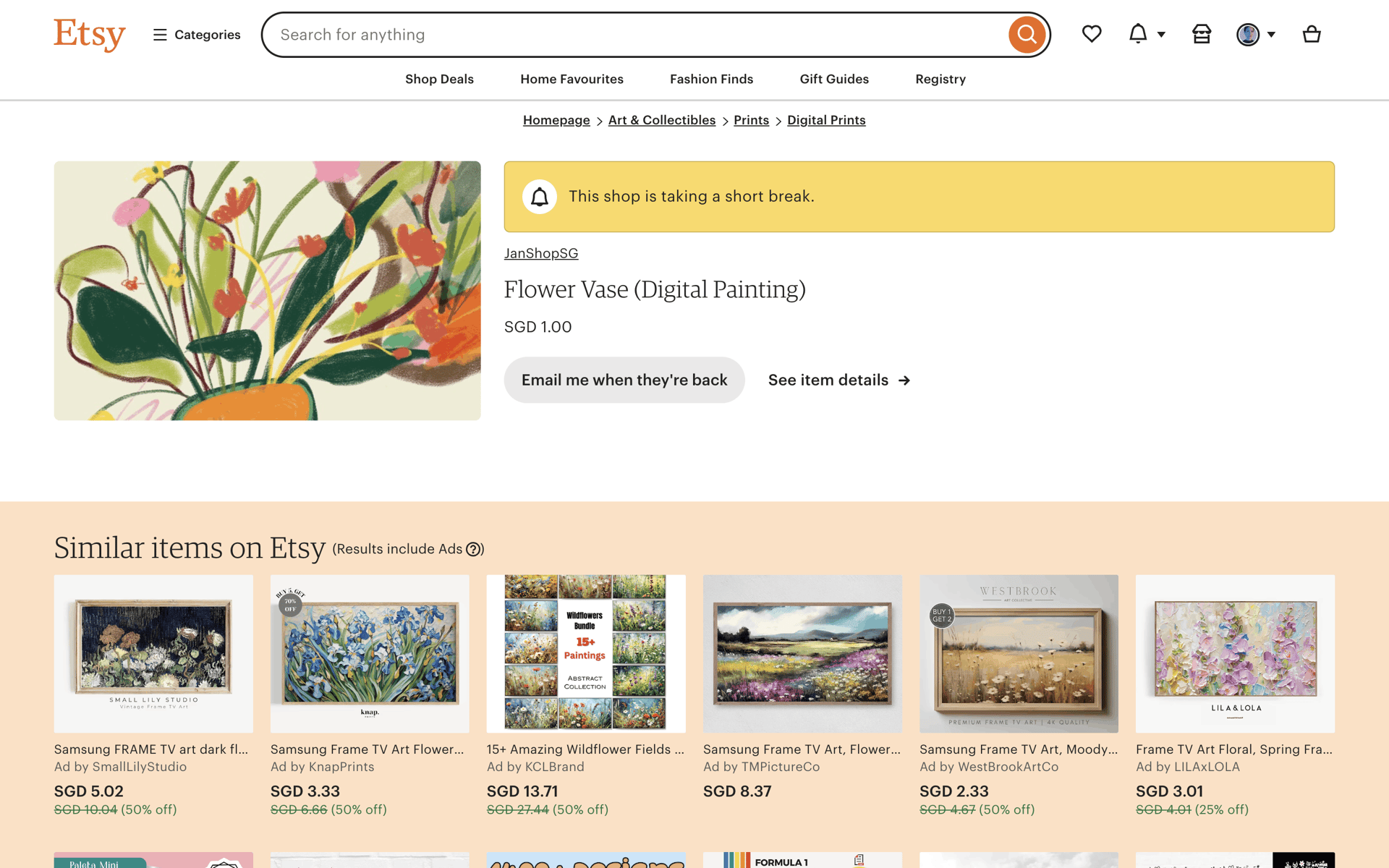 Etsy Web Business interface screenshot 2