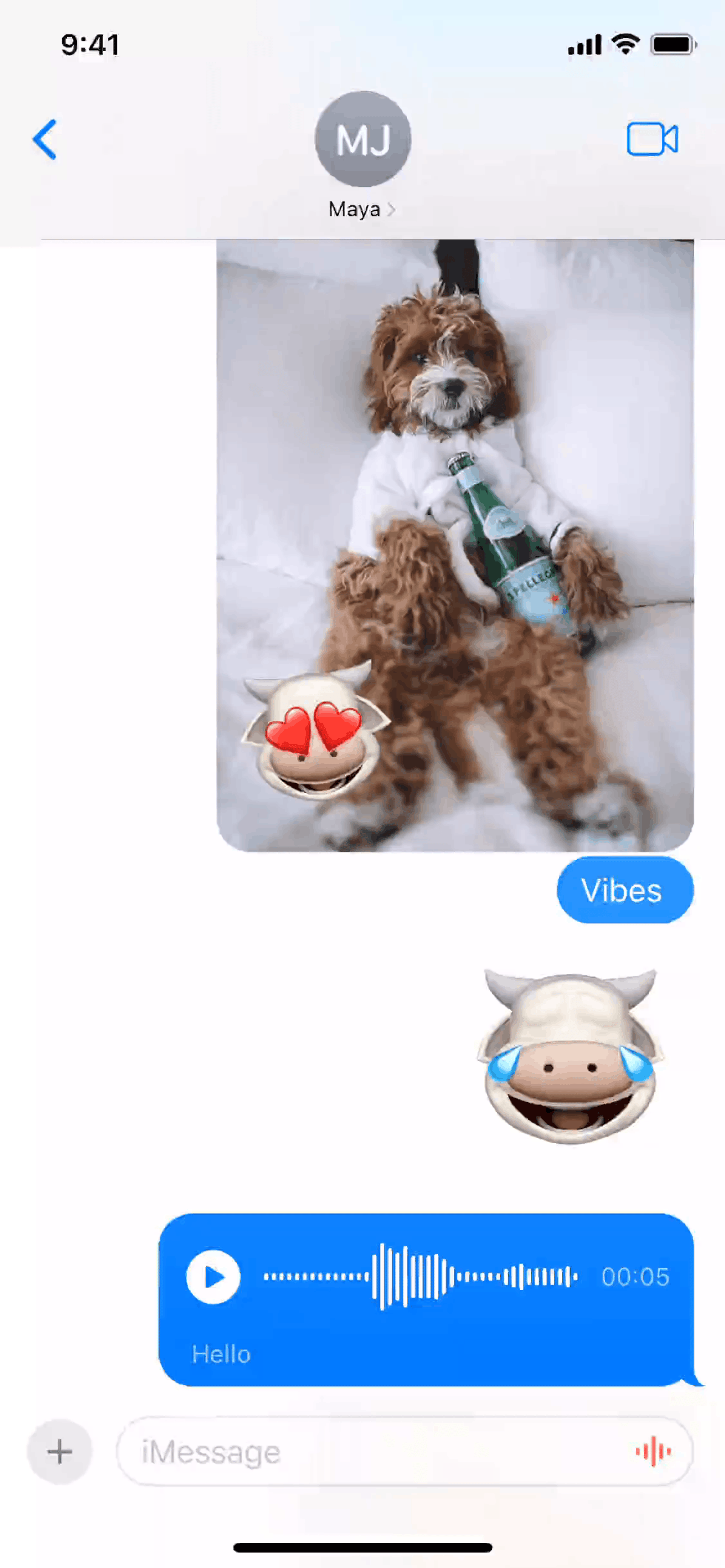 Messages iOS Social Networking interface screenshot 7