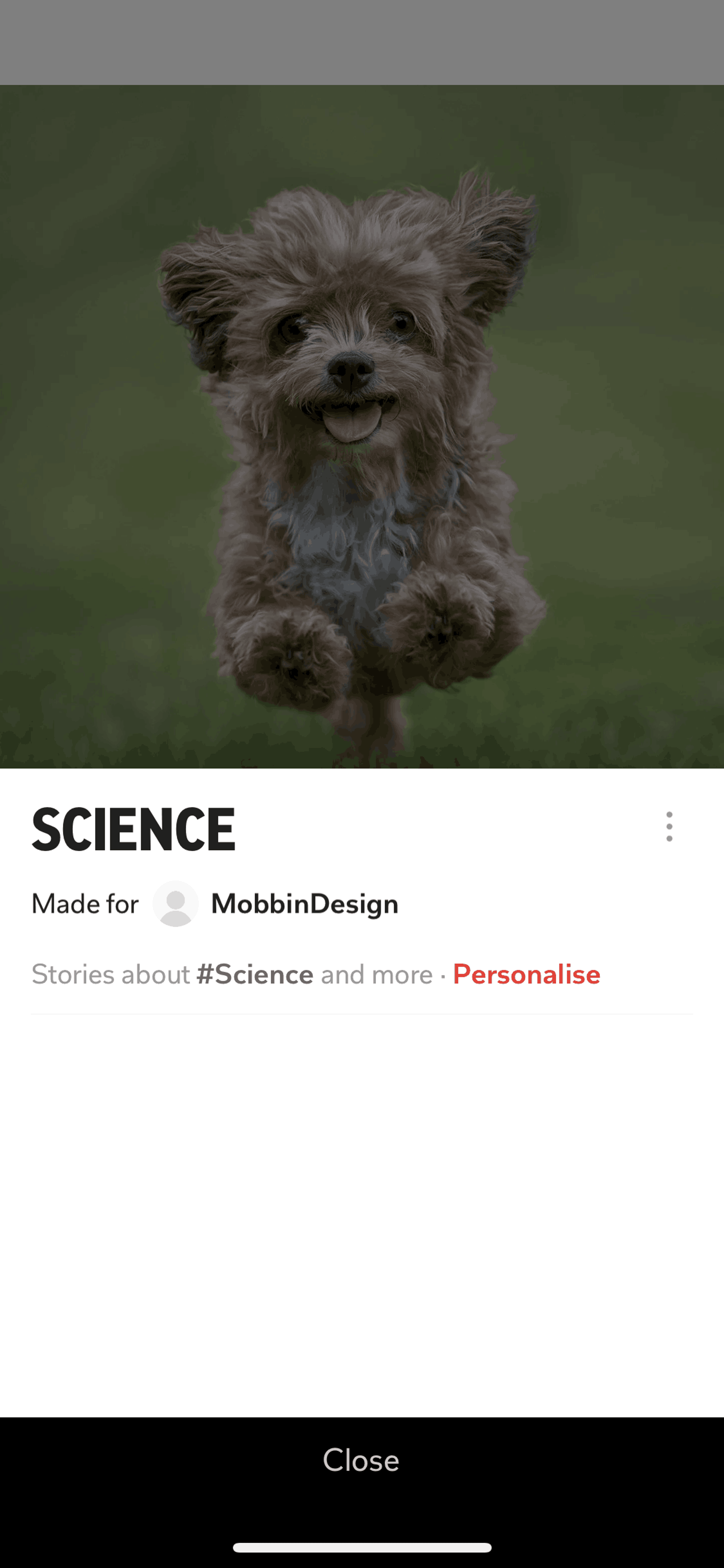 Flipboard iOS News interface screenshot 24