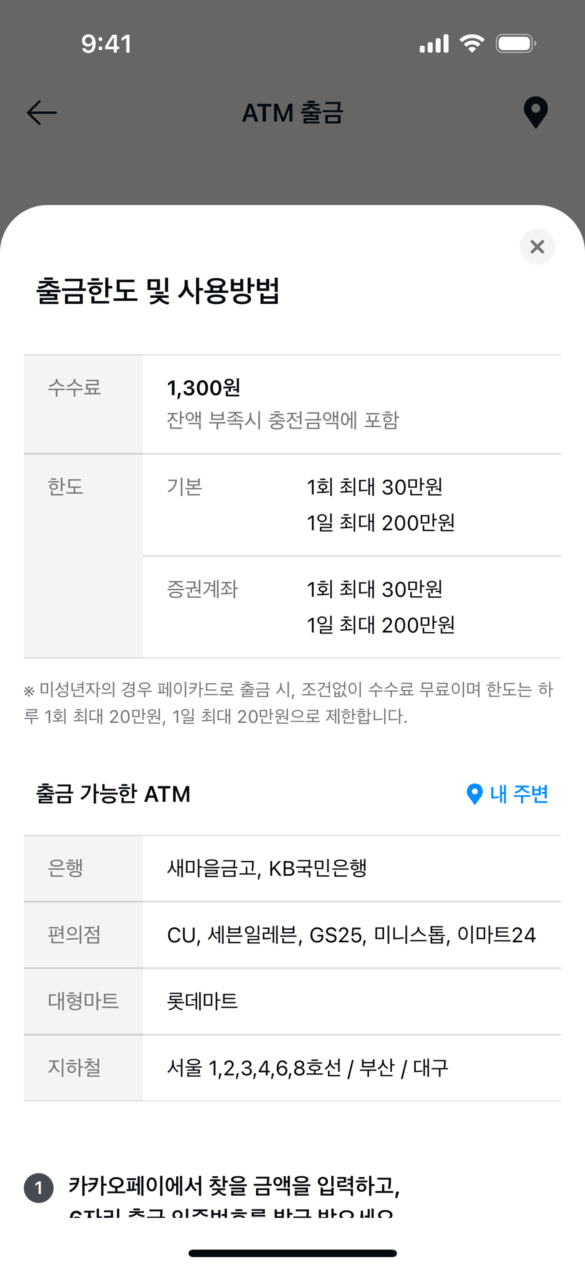 Kakao Pay iOS Finance interface screenshot 10