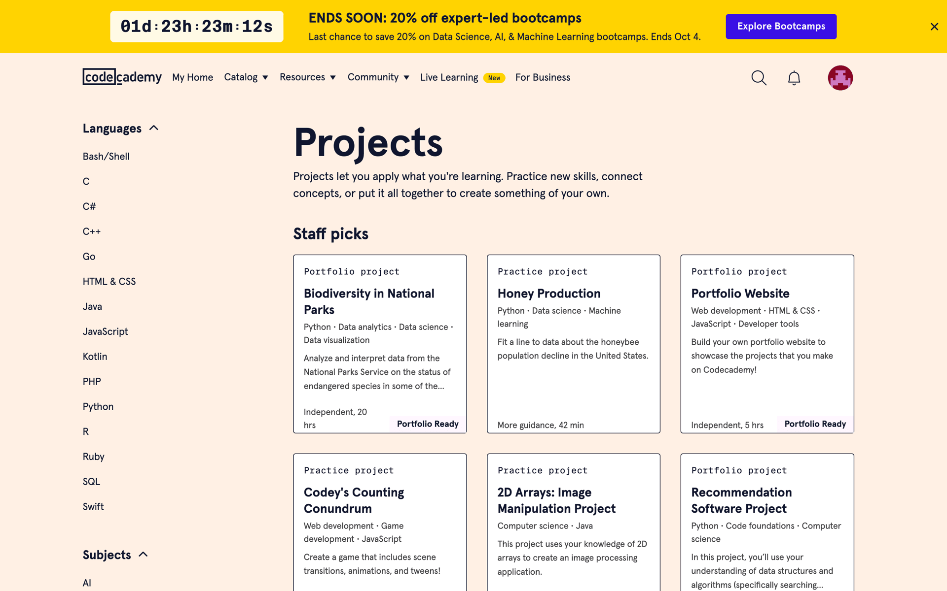 Codecademy Web AI interface screenshot 12