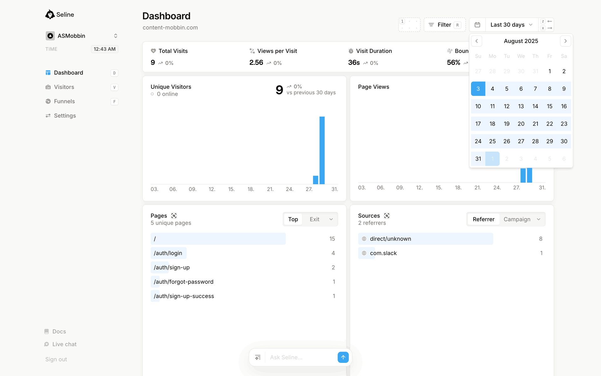 Seline Web Developer Tools interface screenshot 8