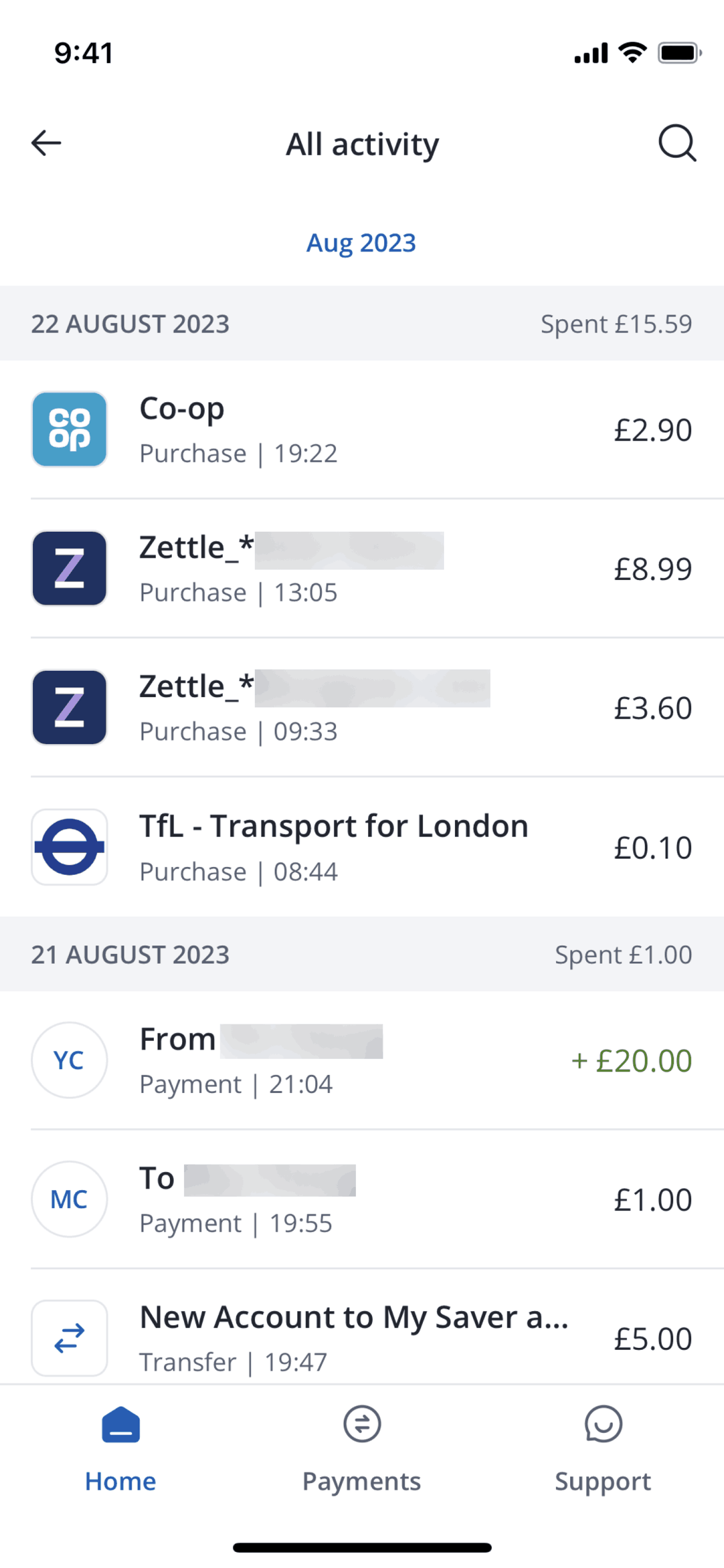 Chase UK iOS Finance interface screenshot 8