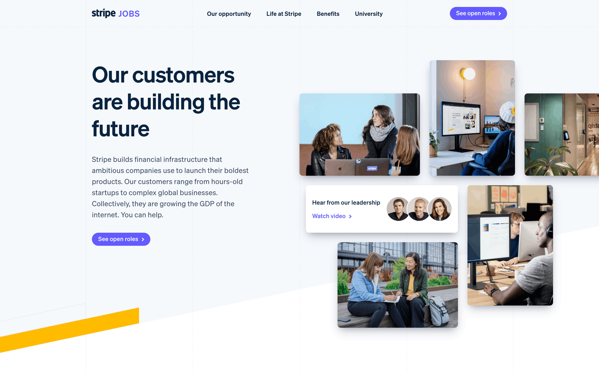 Stripe Web Business interface screenshot 16