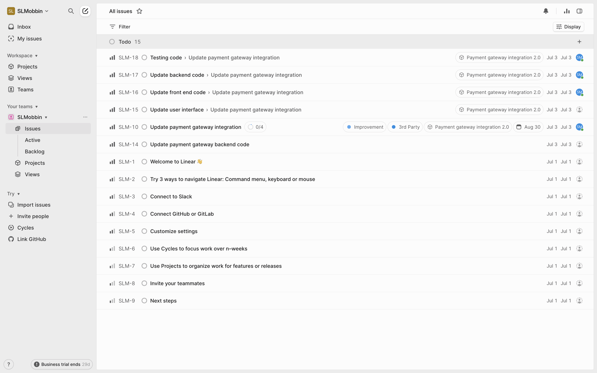 Linear Web Developer Tools interface screenshot 24