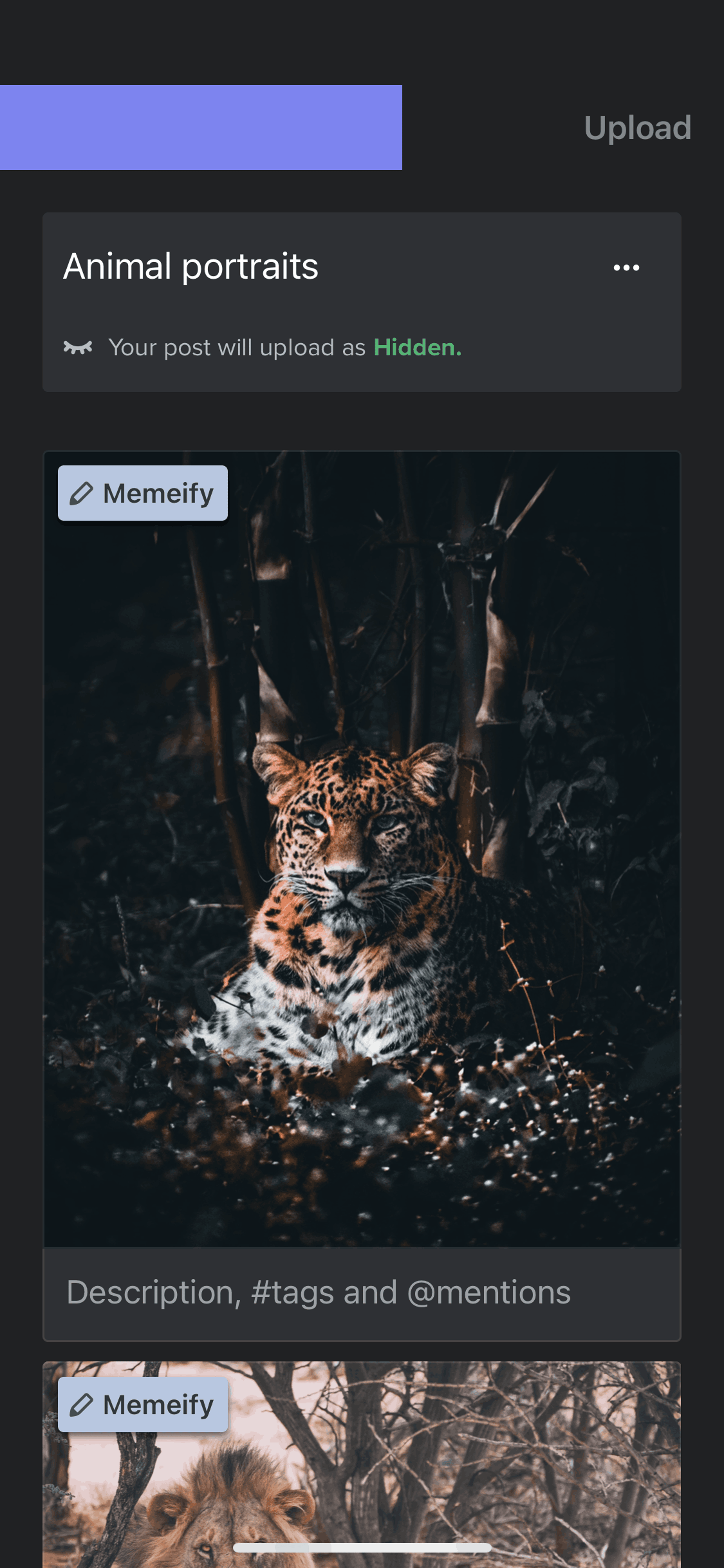 Imgur iOS Photo & Video interface screenshot 19