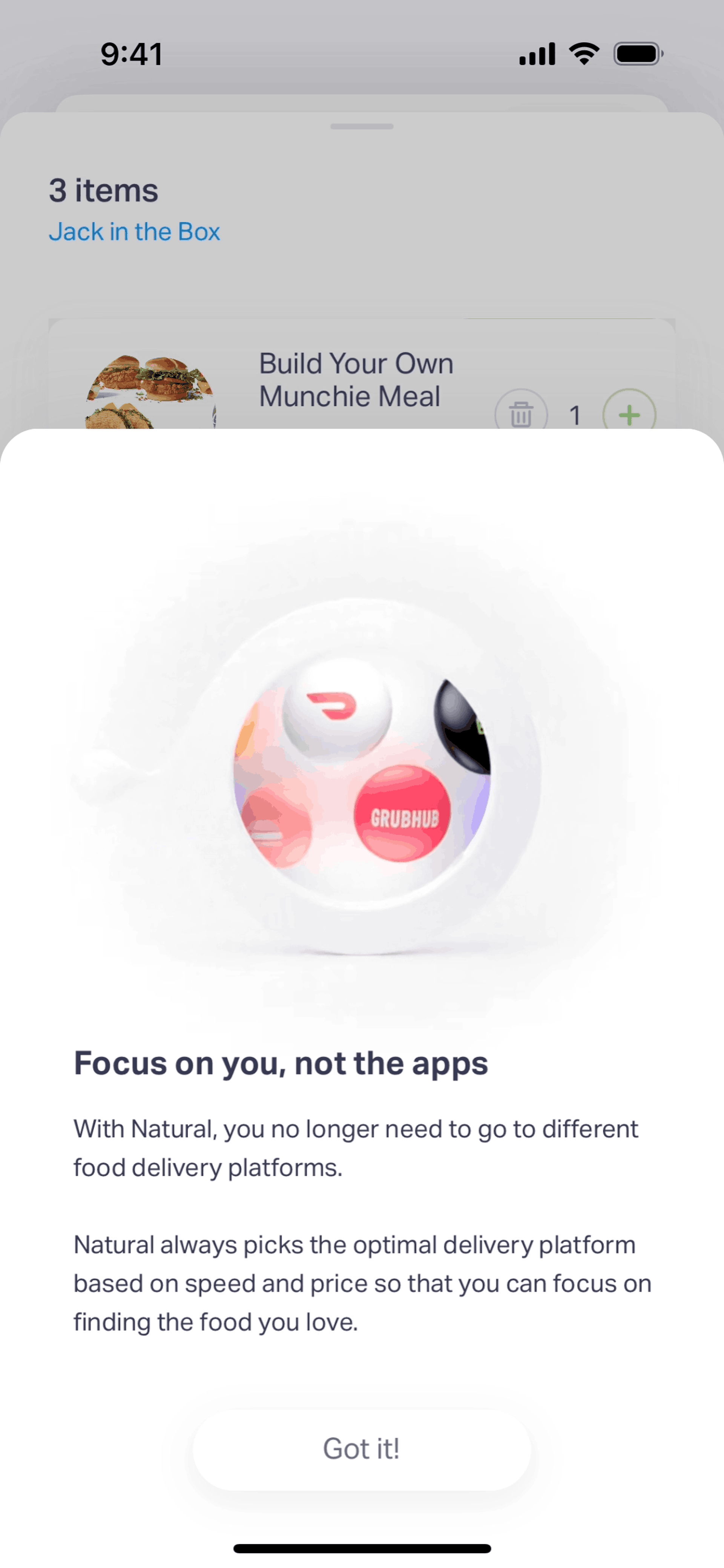 Natural AI iOS AI interface screenshot 13