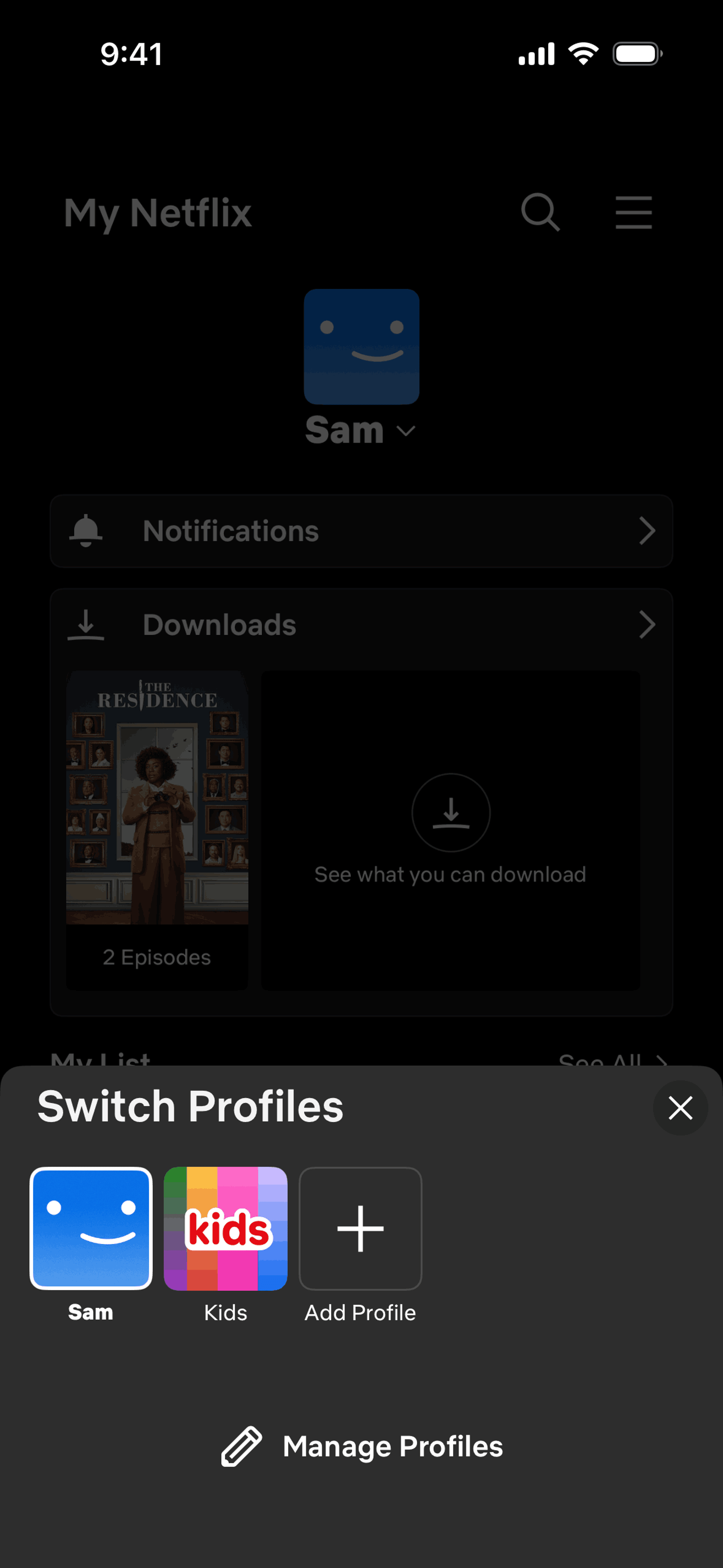 Netflix iOS Entertainment interface screenshot 9
