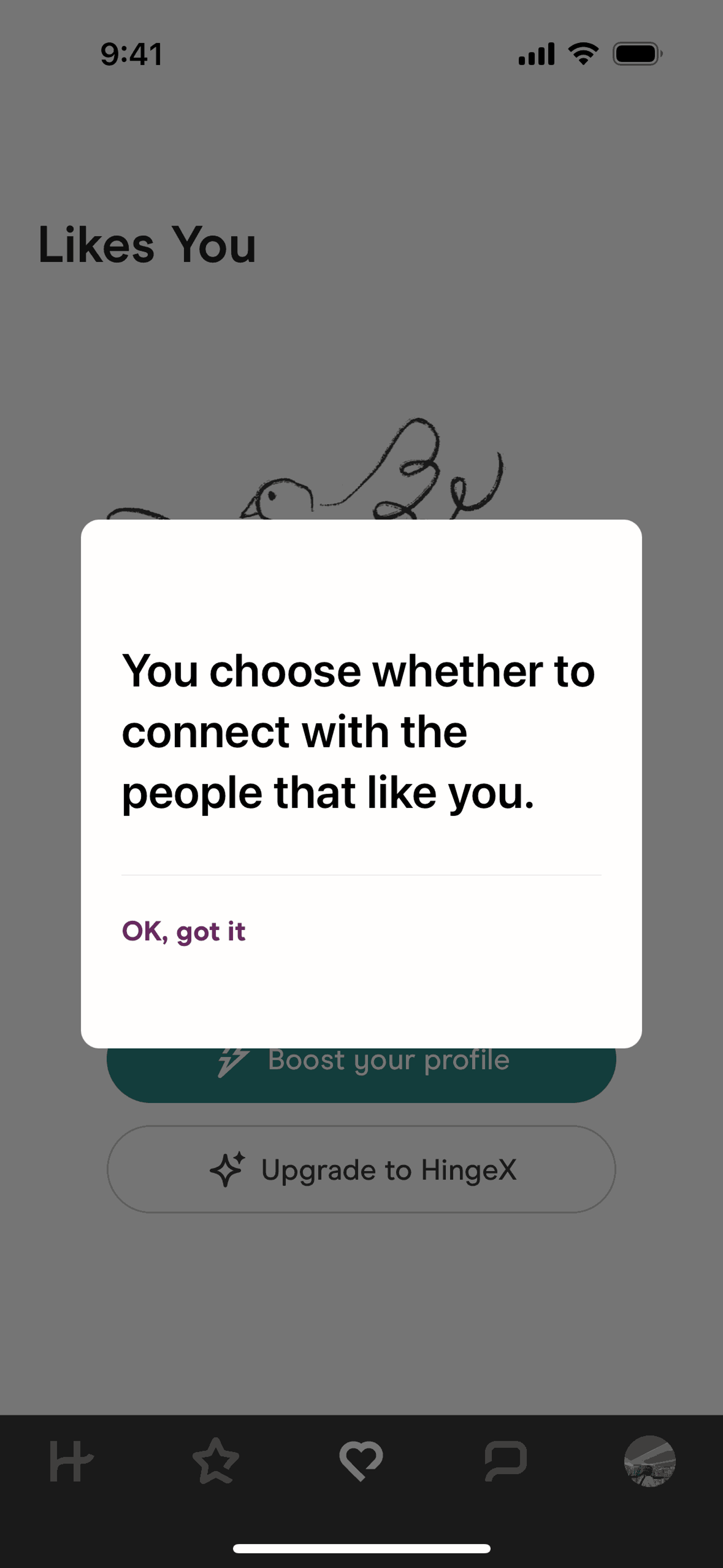 Hinge iOS Lifestyle interface screenshot 11