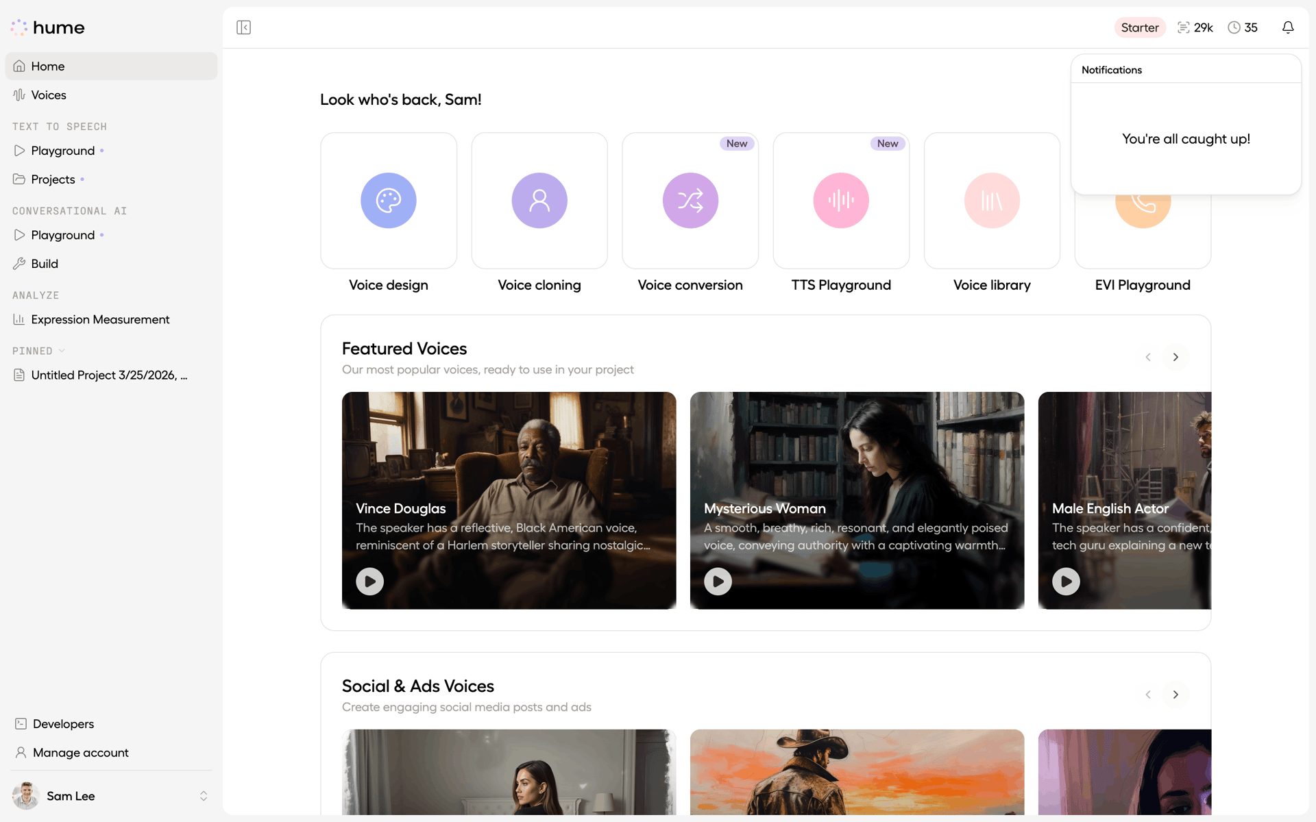 Hume AI Web emotion recognition interface screenshot 24