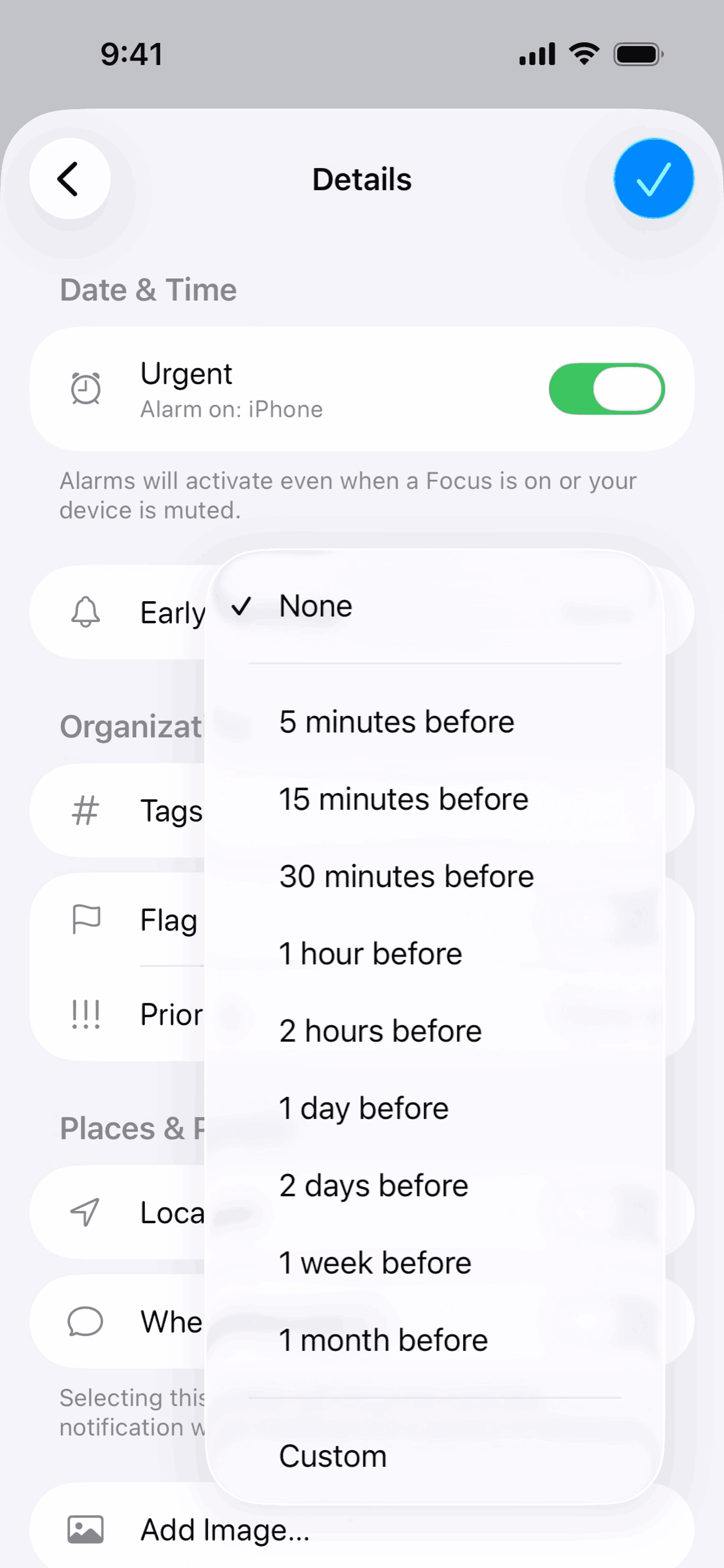 Reminders iOS Productivity interface screenshot 23