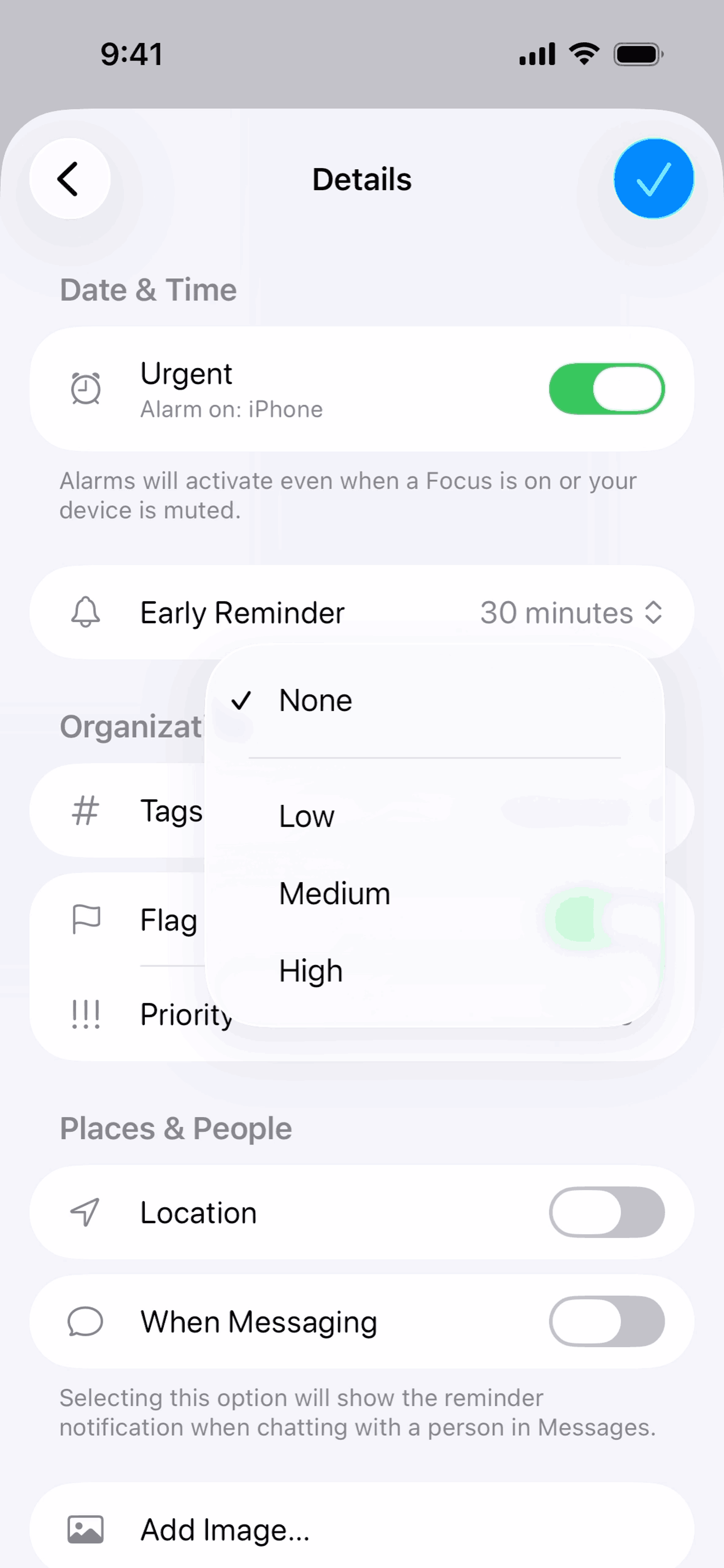 Reminders iOS Productivity interface screenshot 14