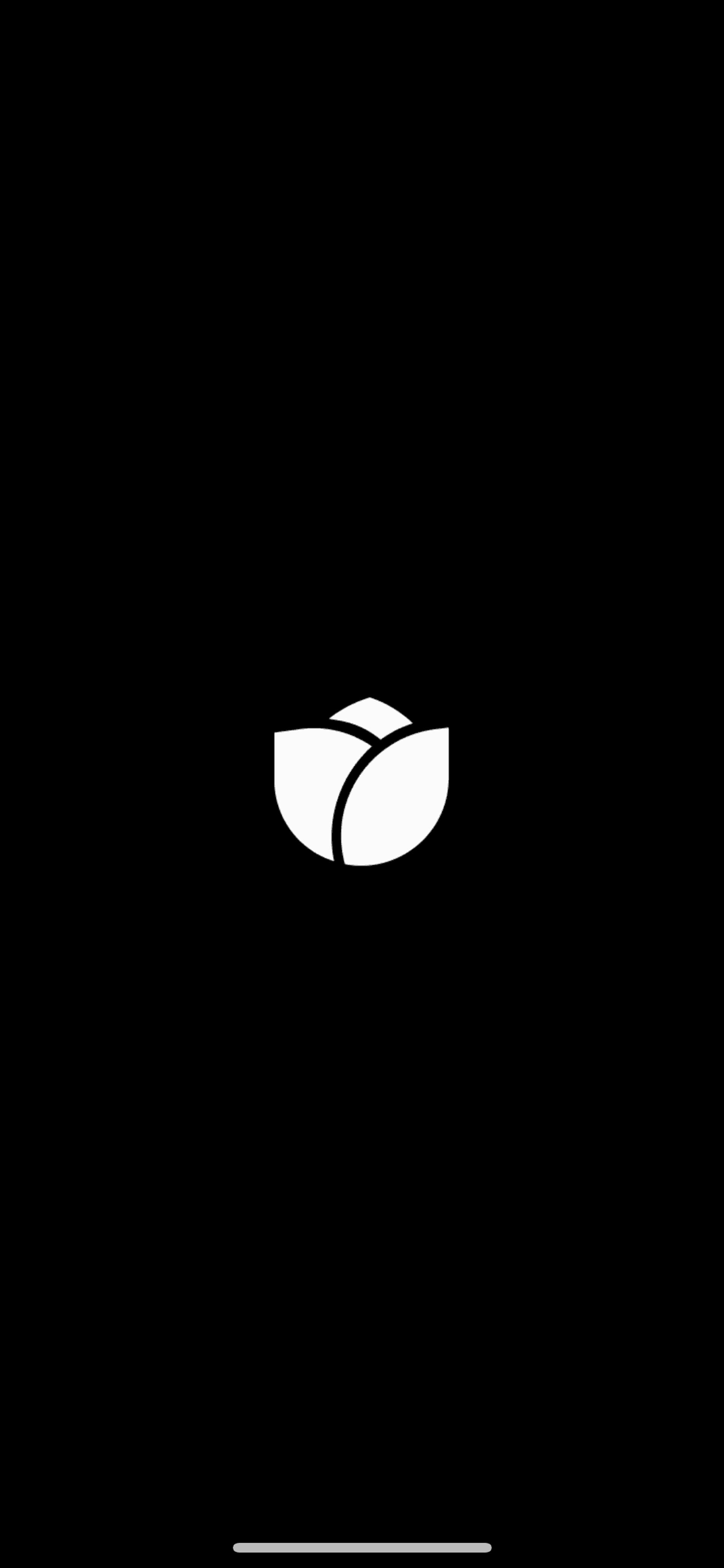 Bloom iOS Finance interface screenshot 1