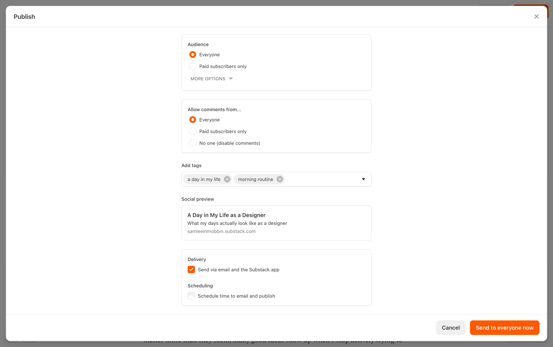 Substack Web News interface screenshot 14