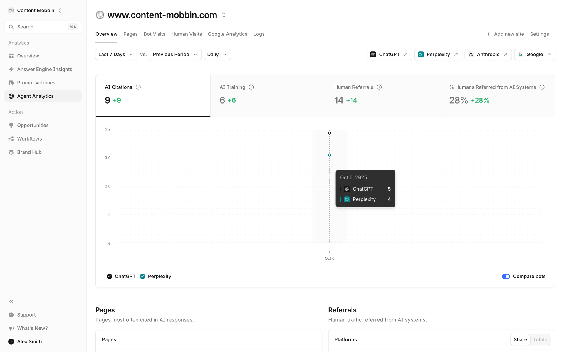 Profound Web AI interface screenshot 9