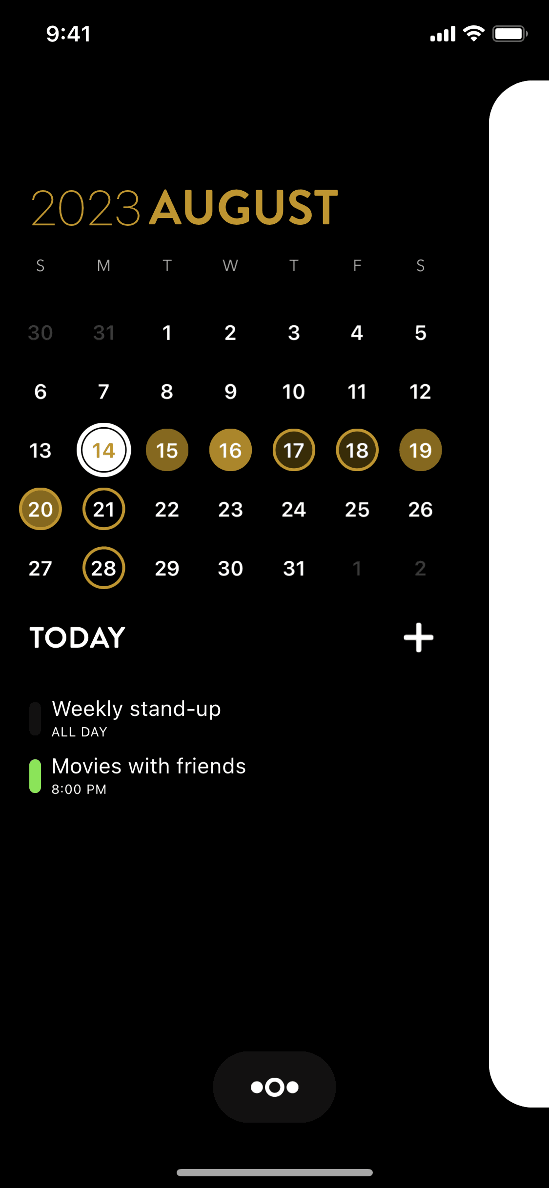 Timepage iOS Productivity interface screenshot 22