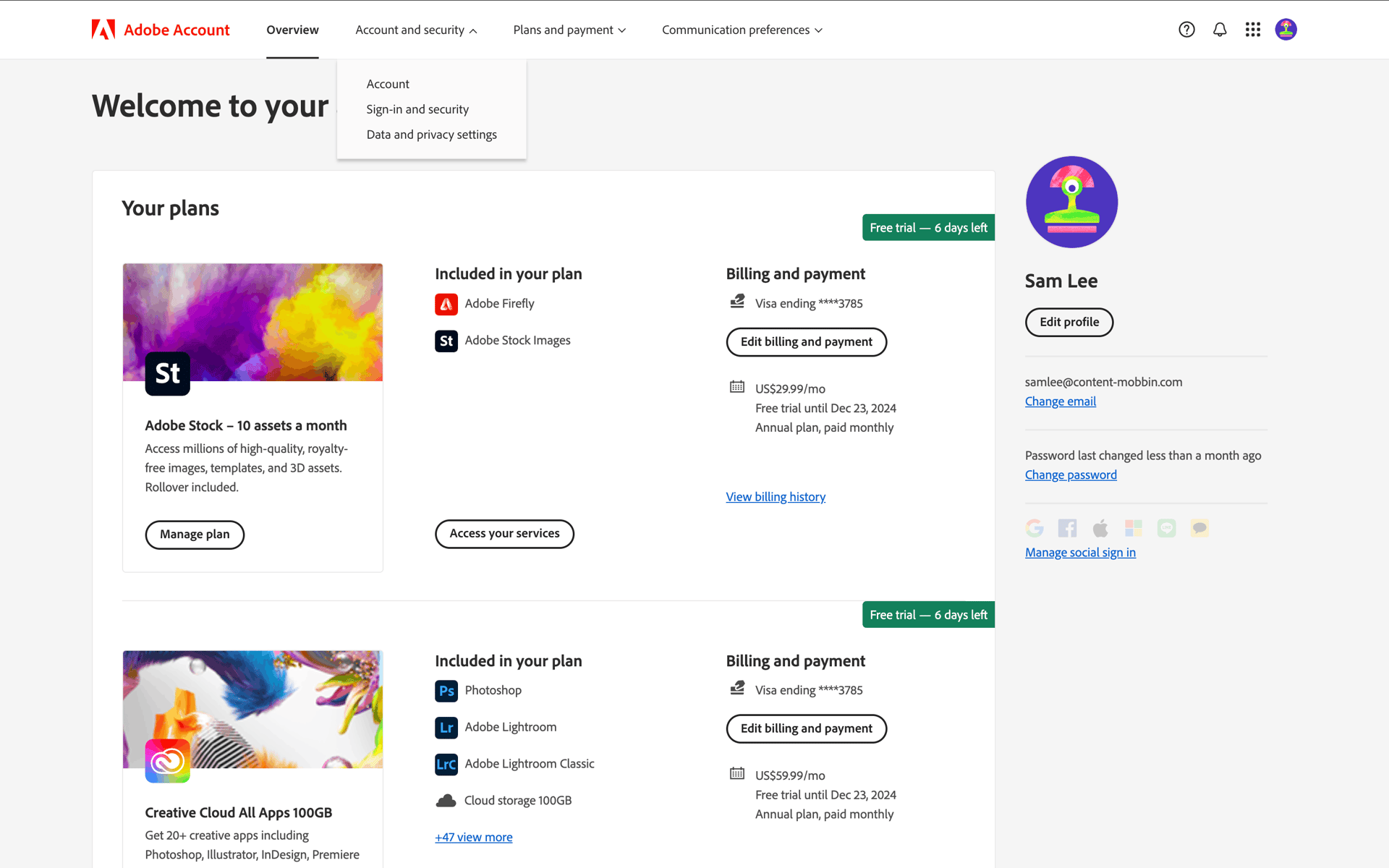 Adobe Web Business interface screenshot 10