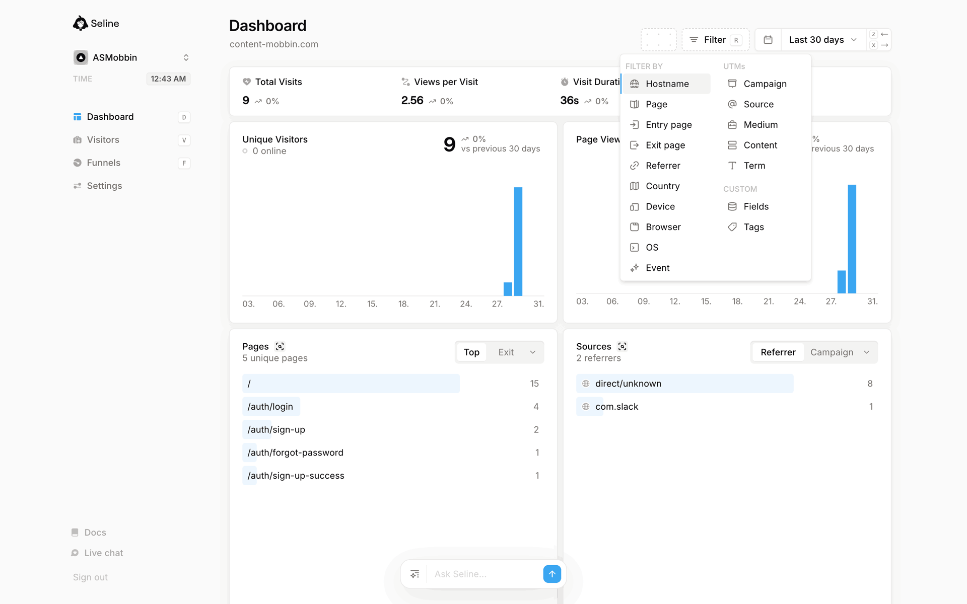 Seline Web Developer Tools interface screenshot 6