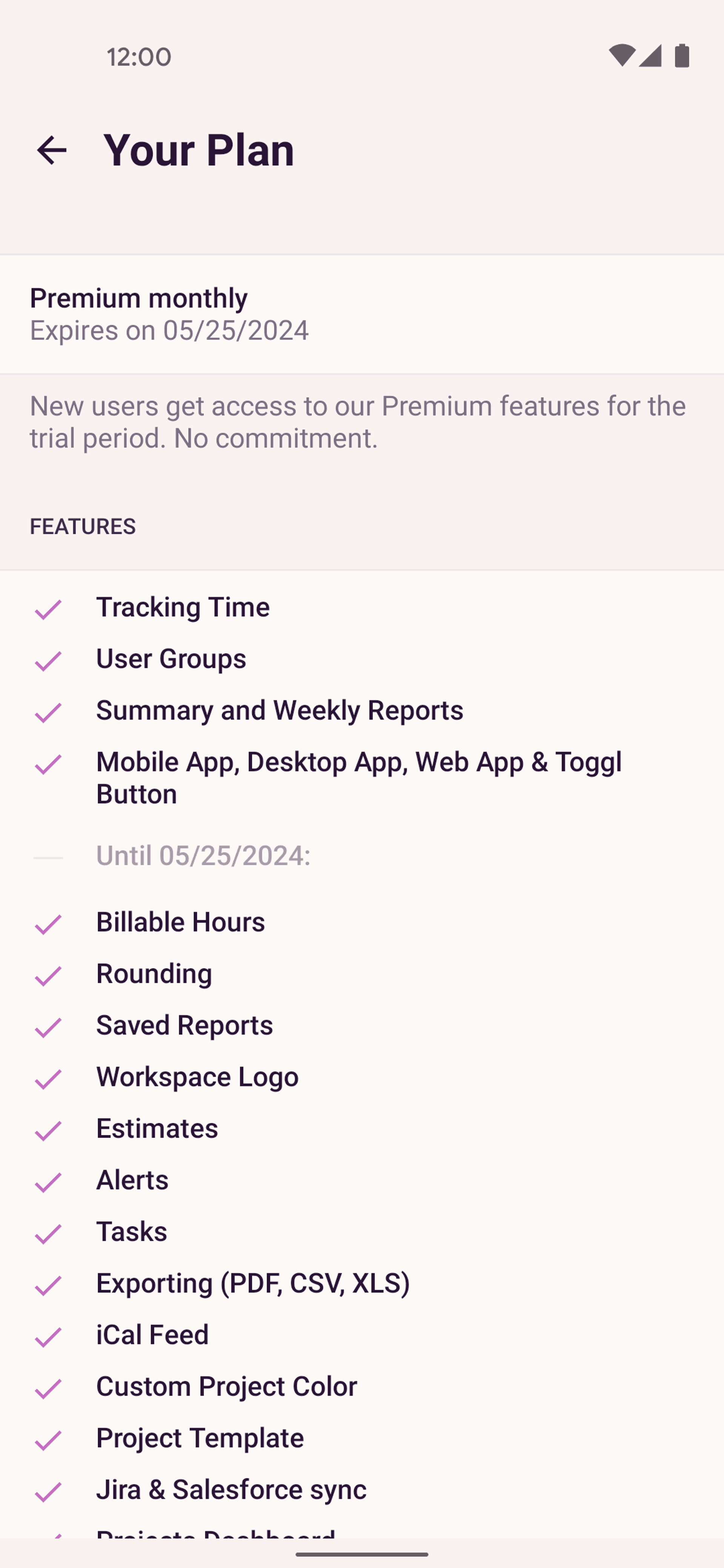 Toggl Track Android Business interface screenshot 15