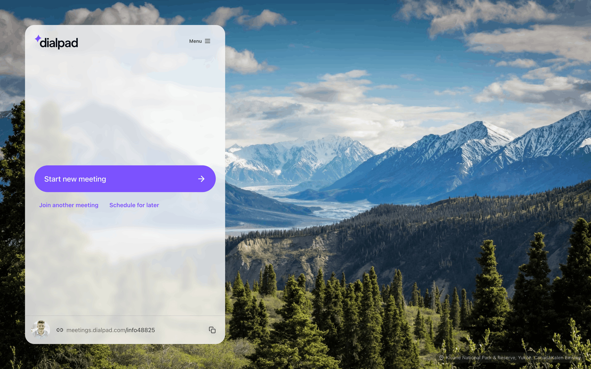 Dialpad Web Business interface screenshot 17