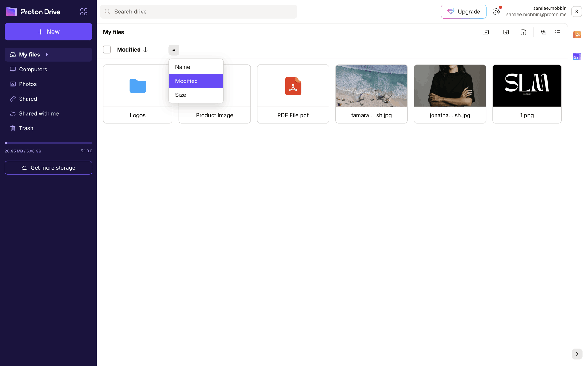 Proton Web Utilities interface screenshot 21