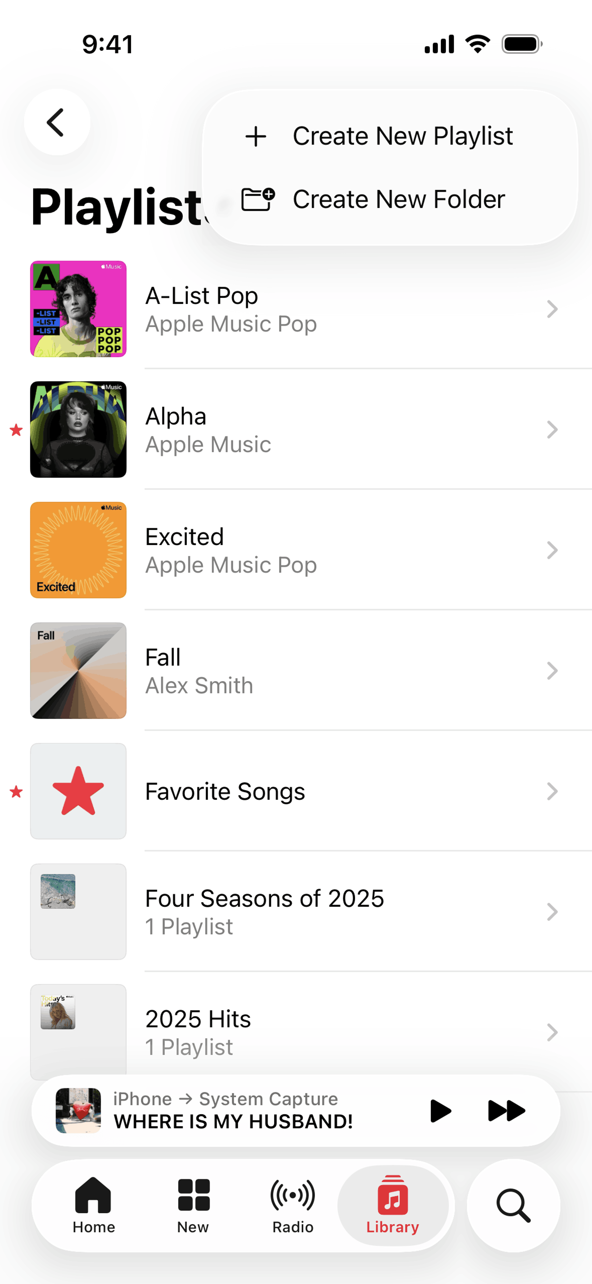 Apple Music iOS Music & Audio interface screenshot 21