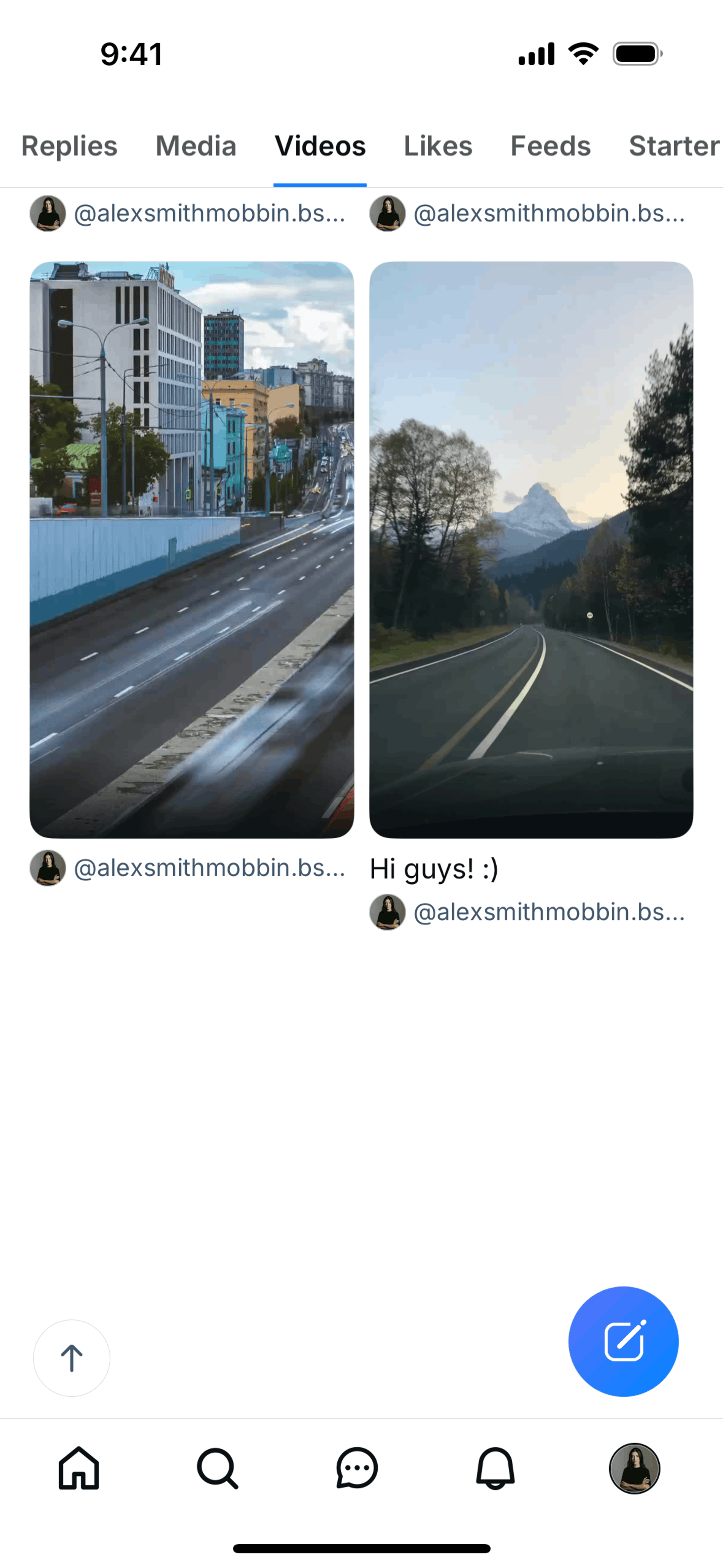 Bluesky Social iOS Social Networking interface screenshot 18