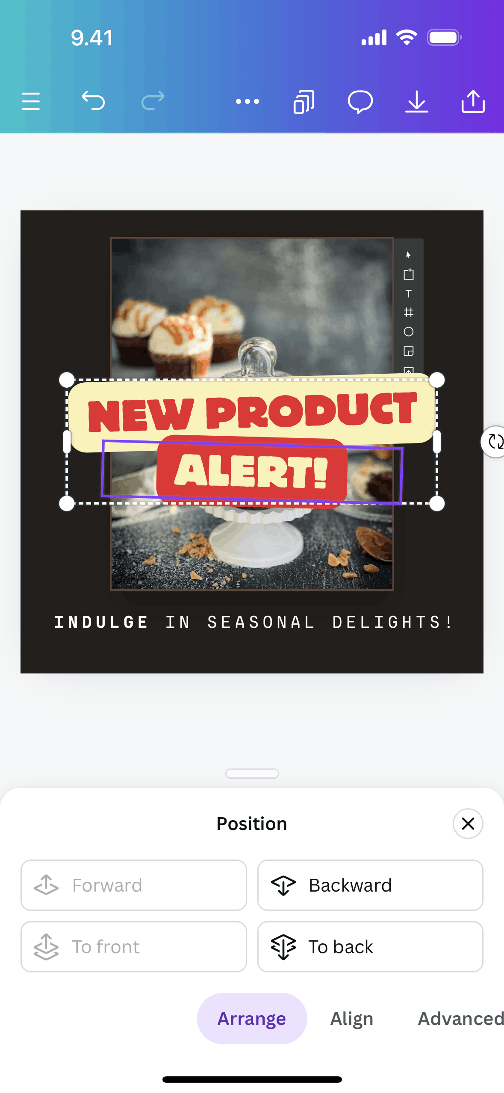 Canva iOS Photo & Video interface screenshot 14