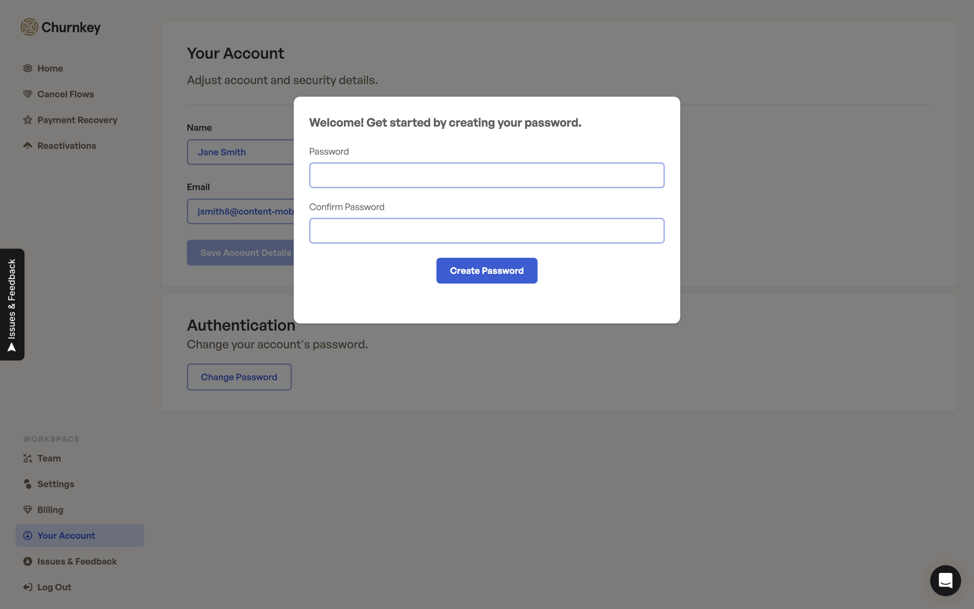 Churnkey Web Business interface screenshot 2