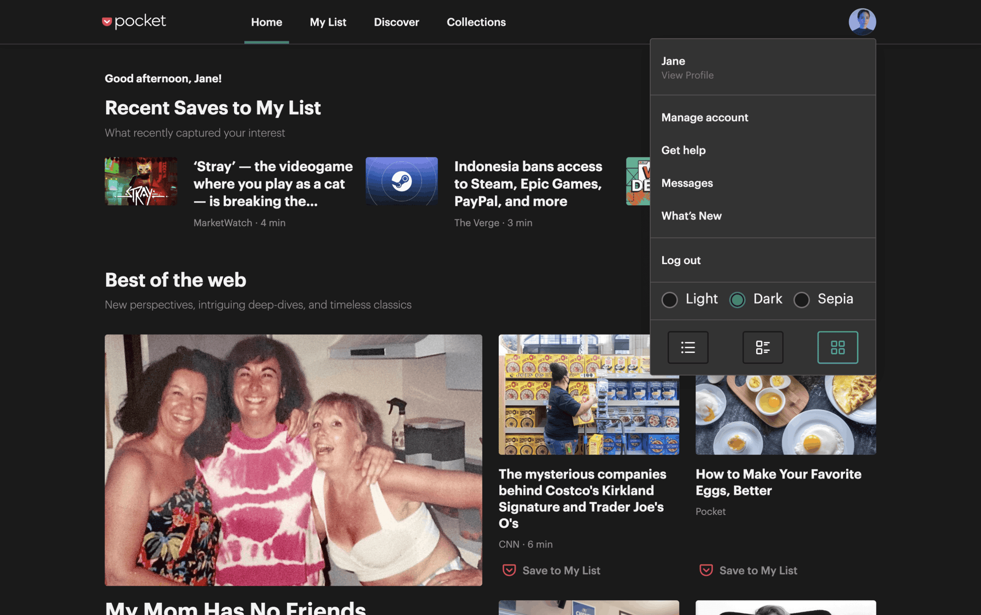 Pocket Web News interface screenshot 14