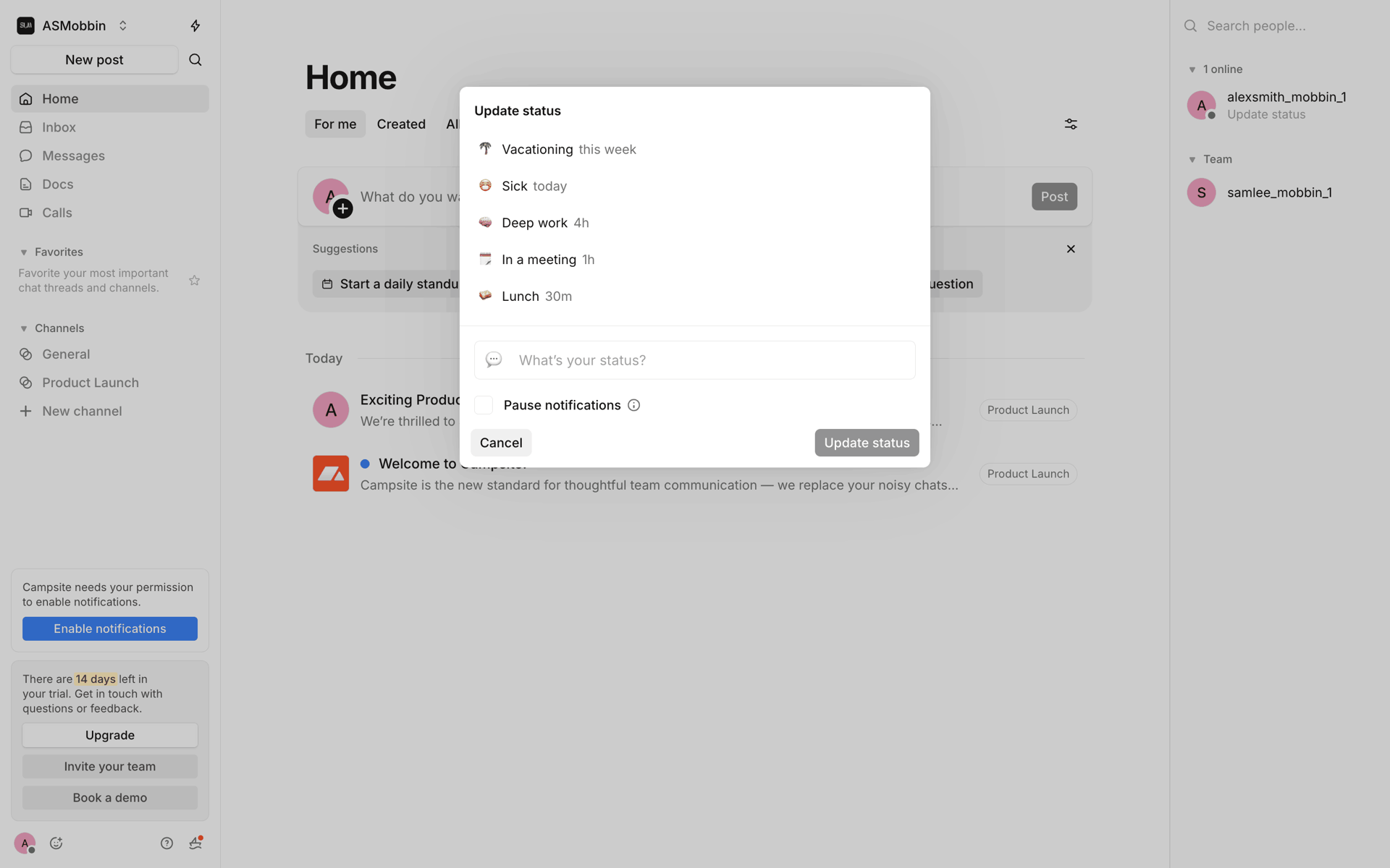 Campsite Web Productivity interface screenshot 23