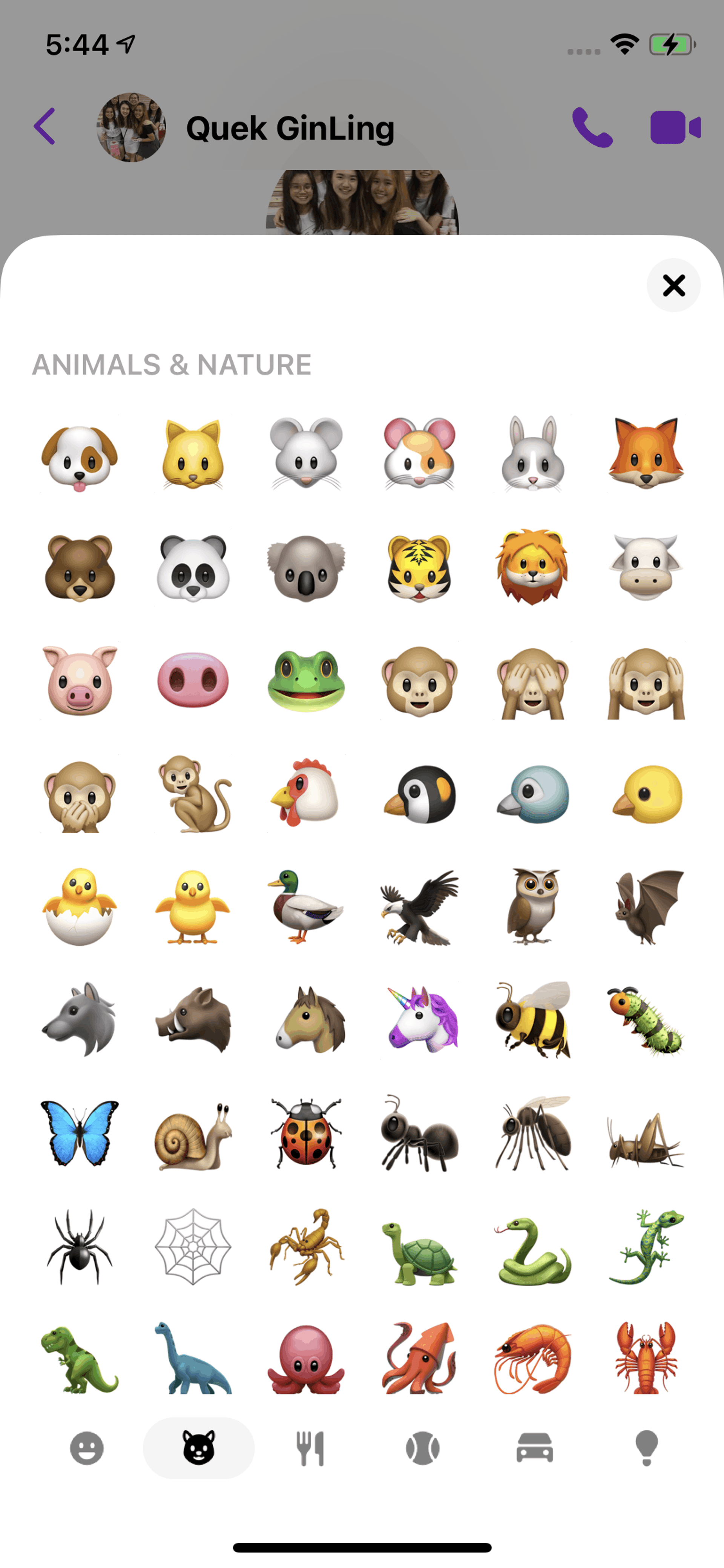 Messenger iOS Social Networking interface screenshot 13